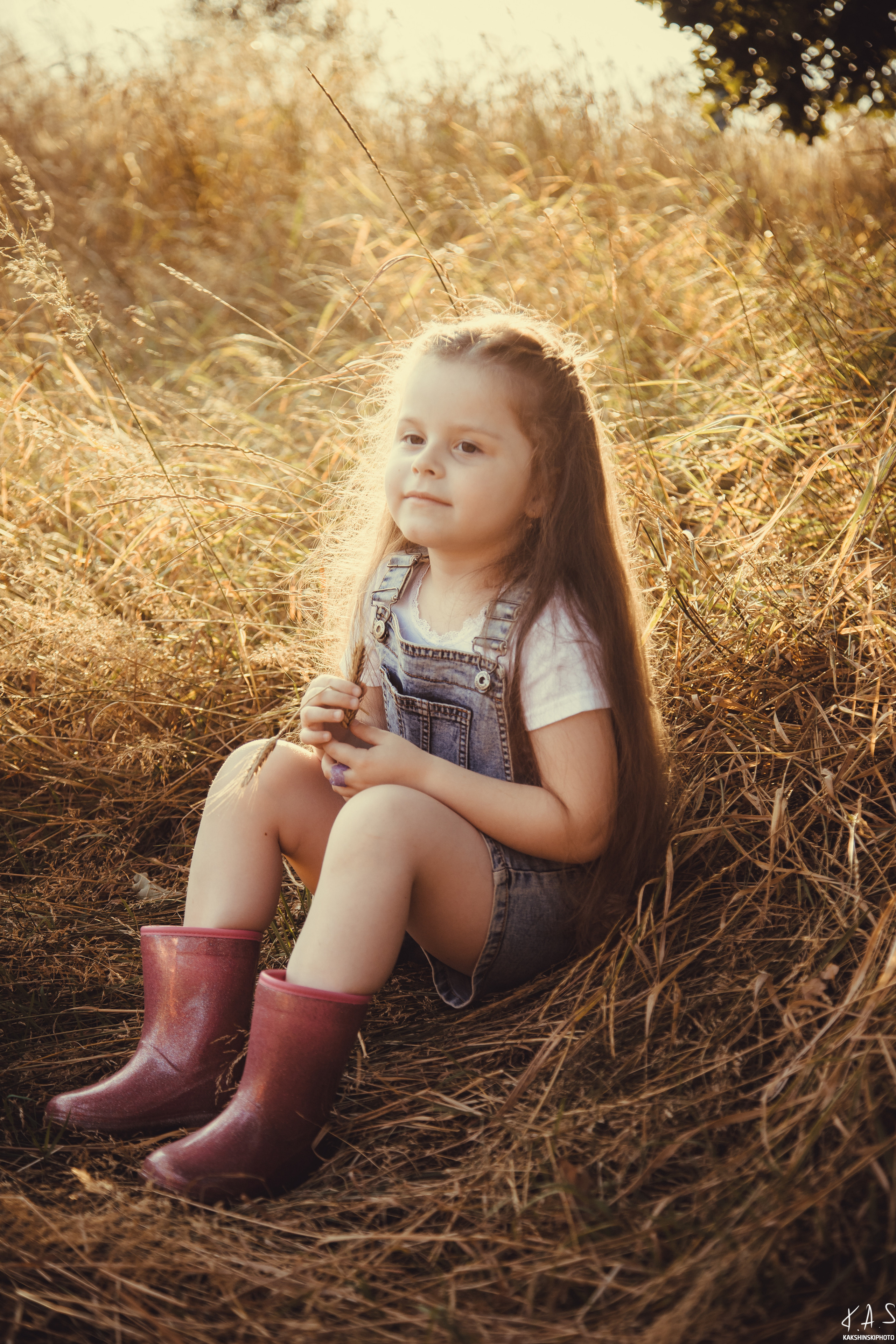 Колоски. Фотография и видеосъёмка