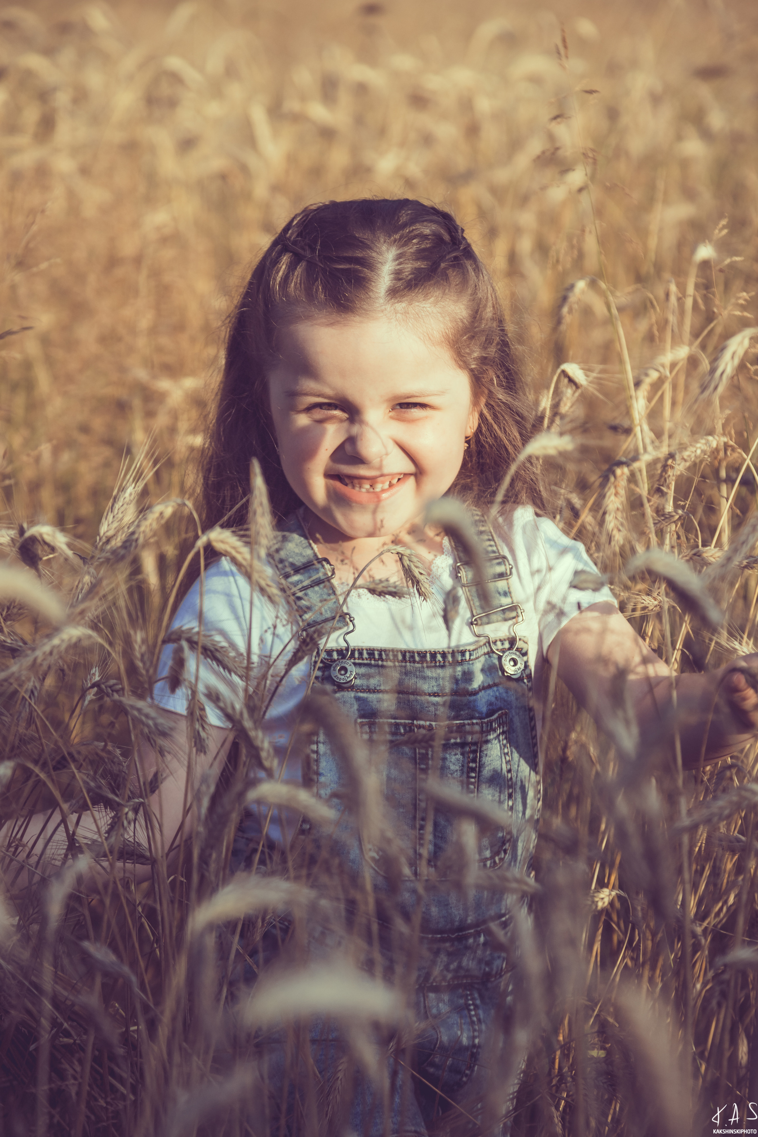 Колоски. Фотография и видеосъёмка