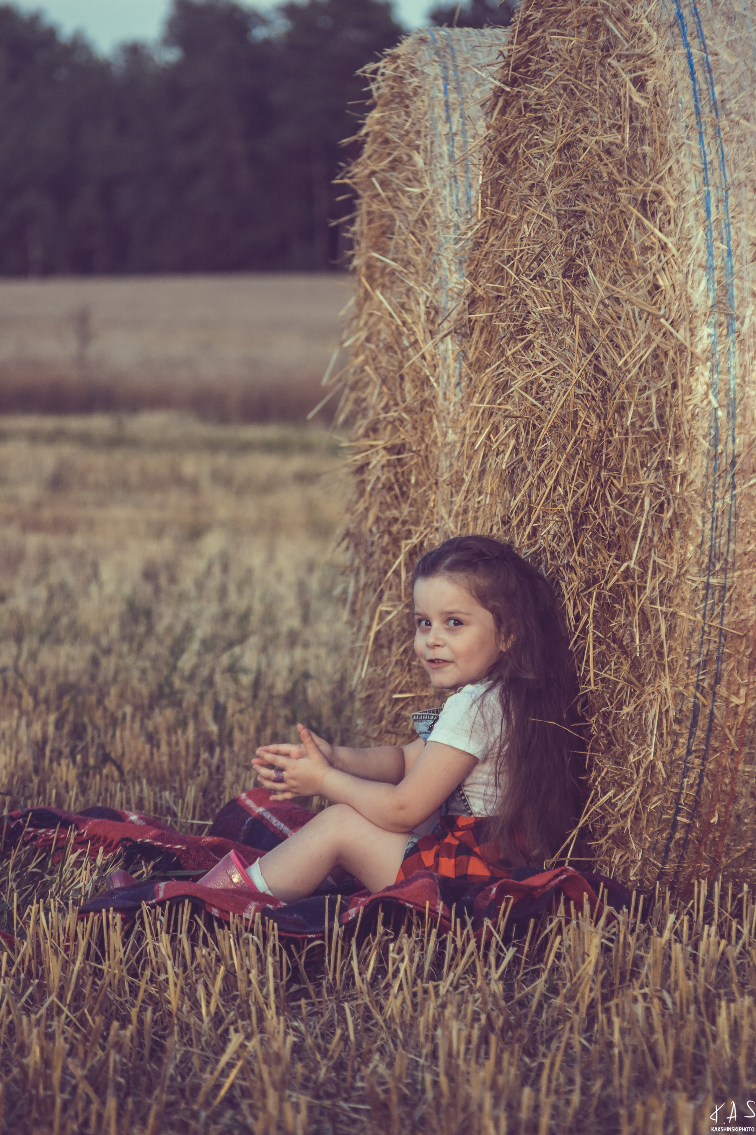 Колоски. Фотография и видеосъёмка