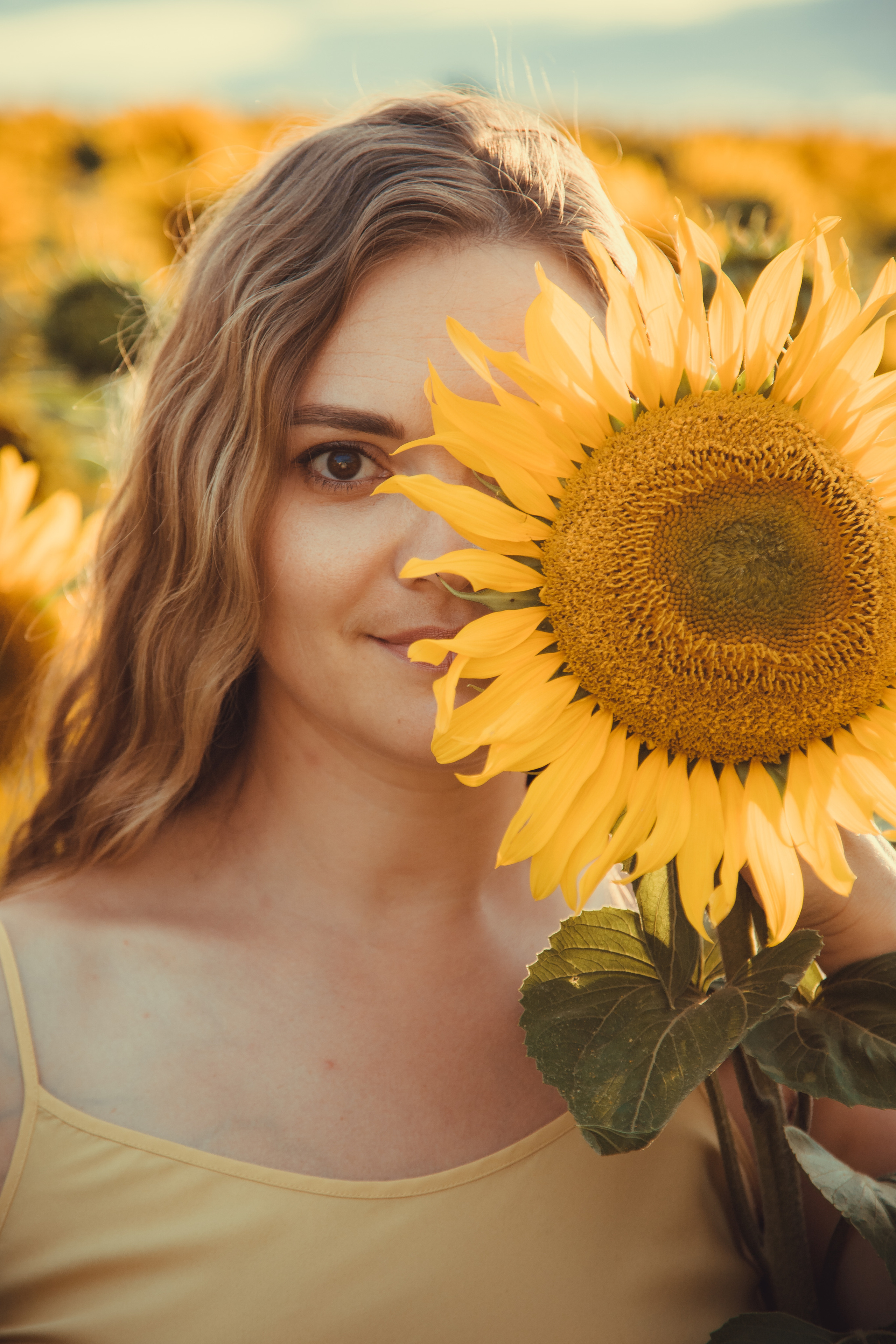 Подсолнухи. Фотография и видеосъёмка