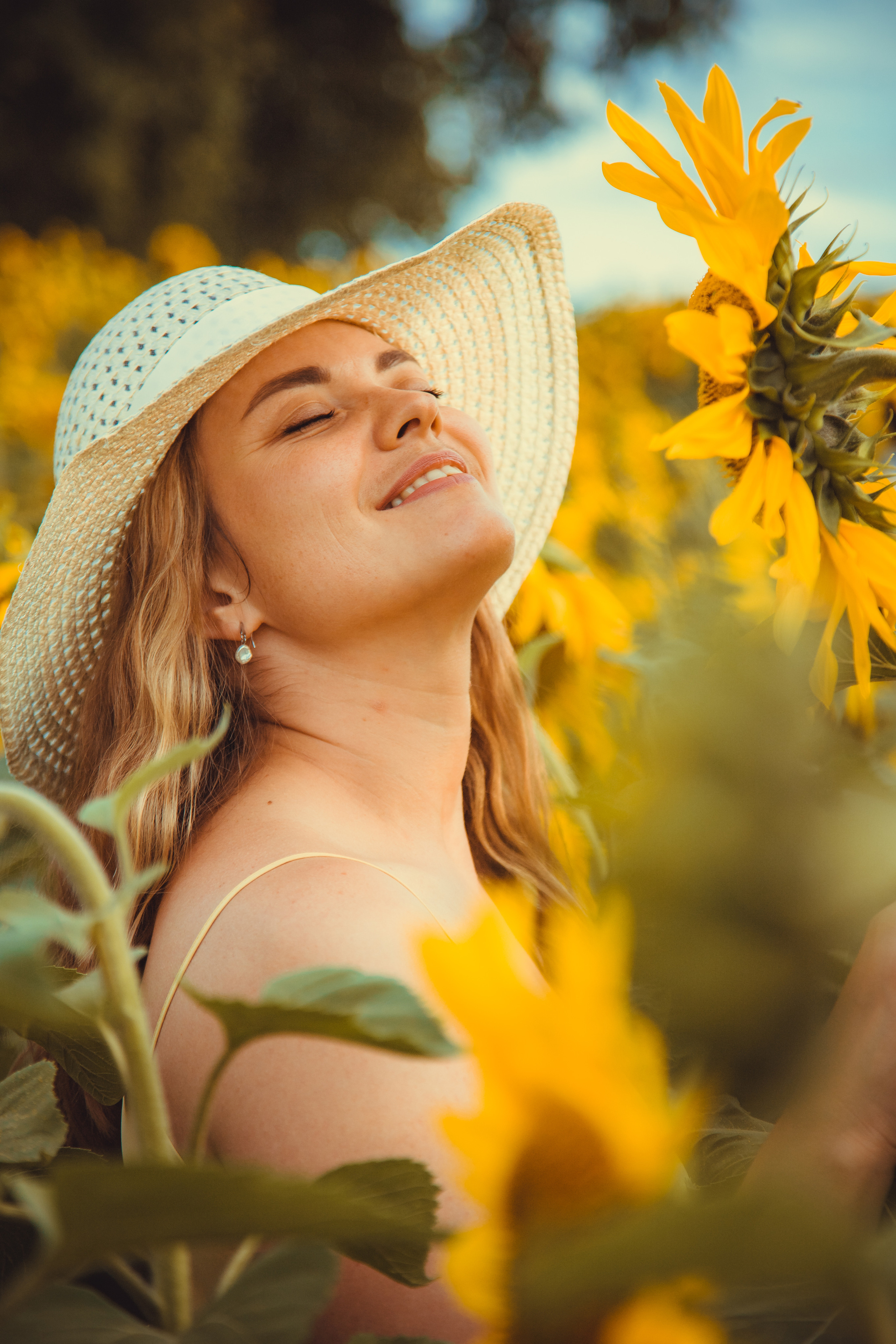 Подсолнухи. Фотография и видеосъёмка