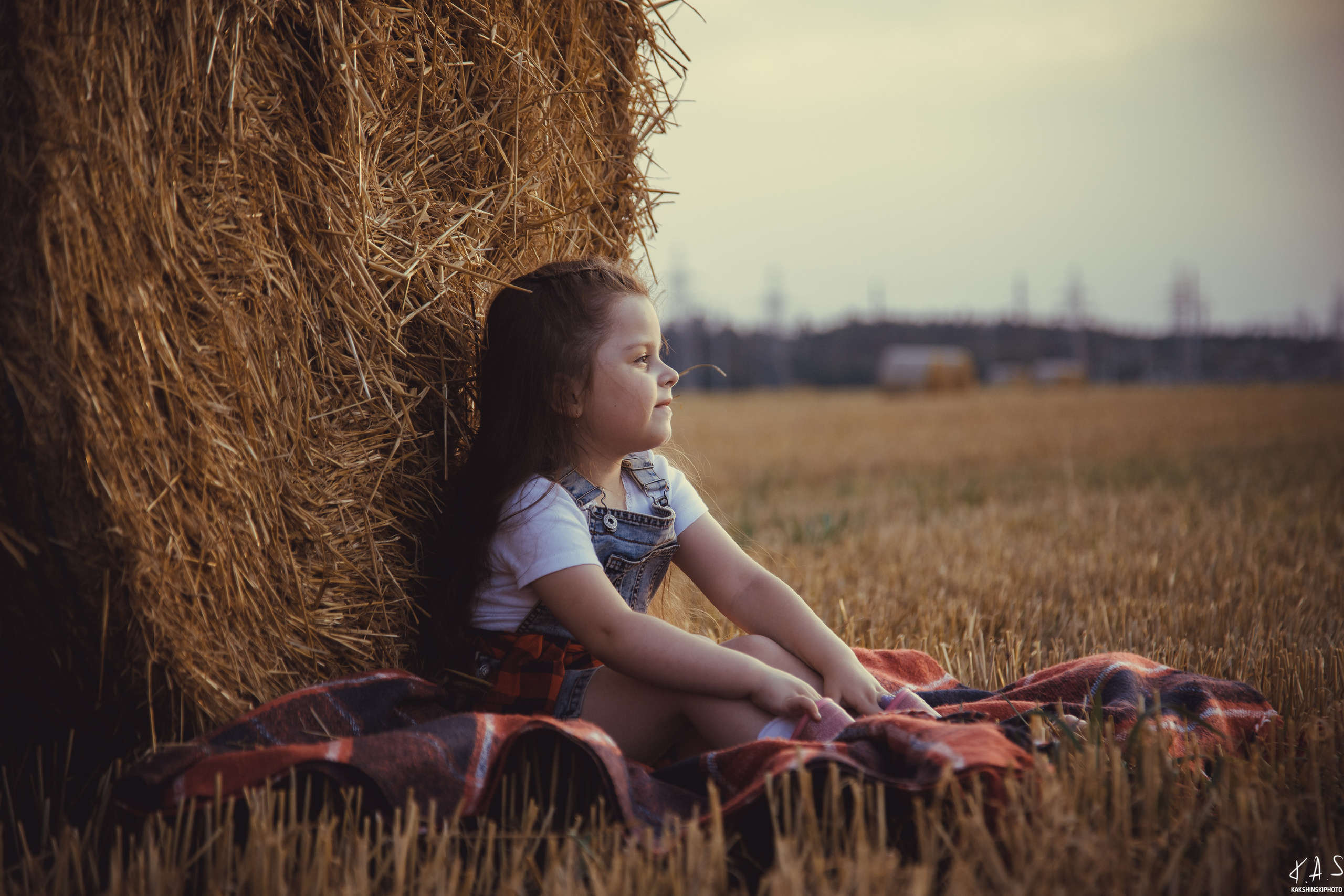 Колоски. Фотография и видеосъёмка