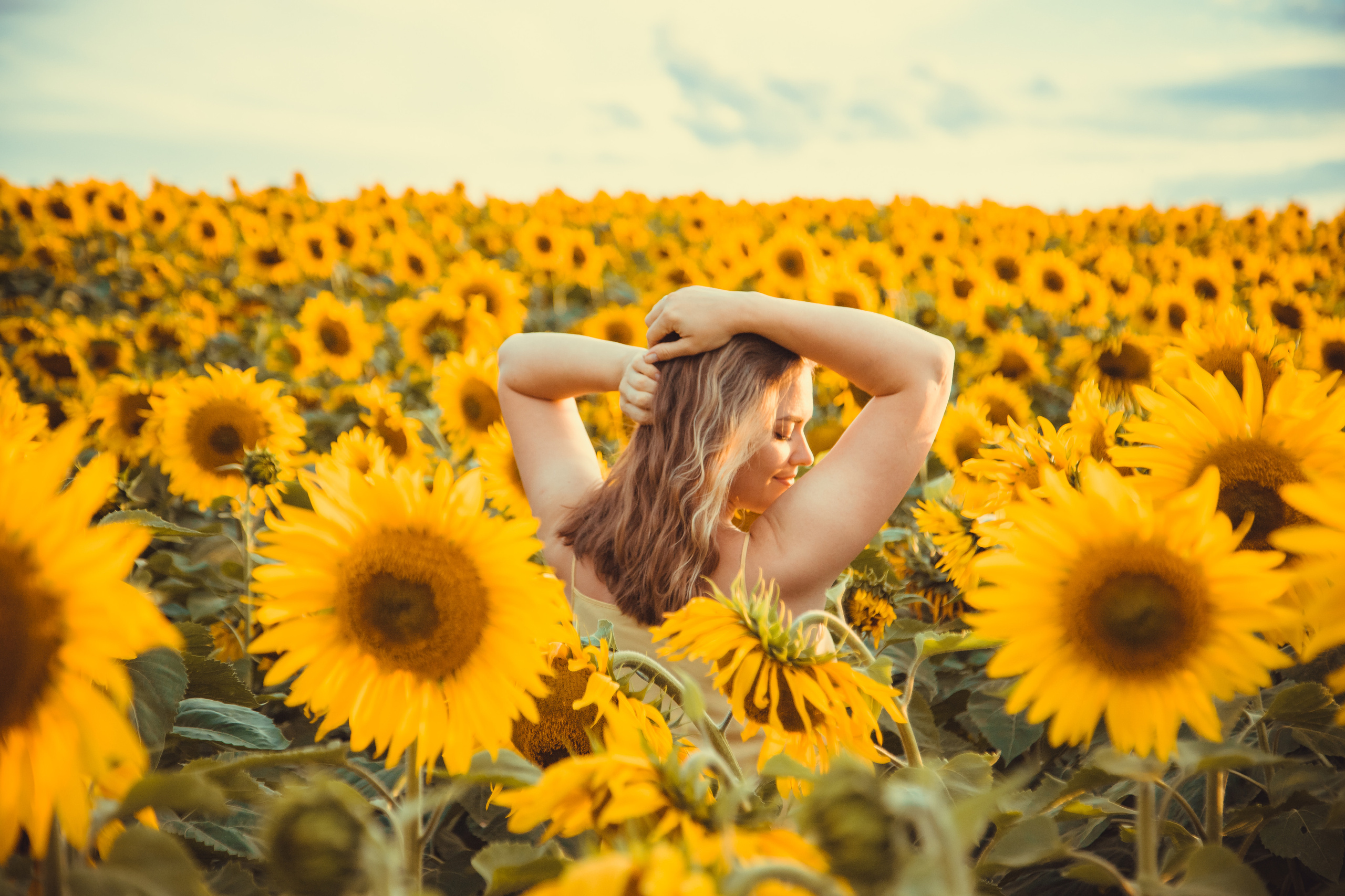 Подсолнухи. Фотография и видеосъёмка