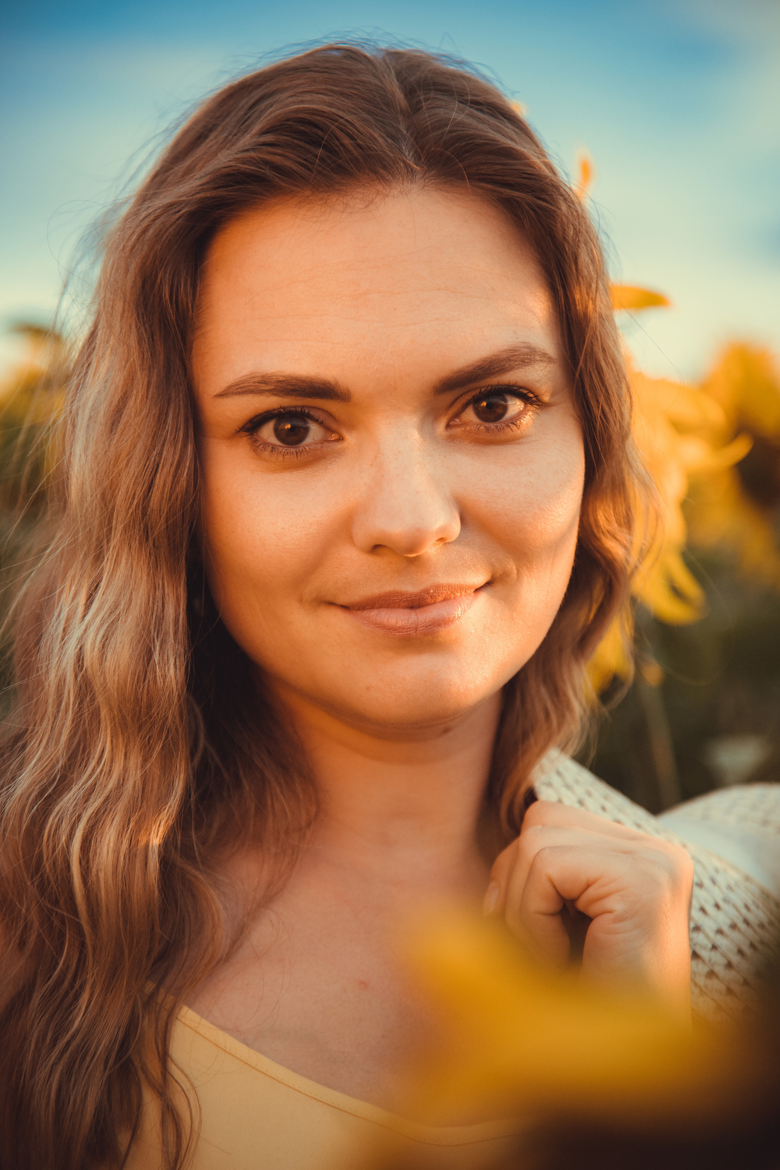 Подсолнухи. Фотография и видеосъёмка