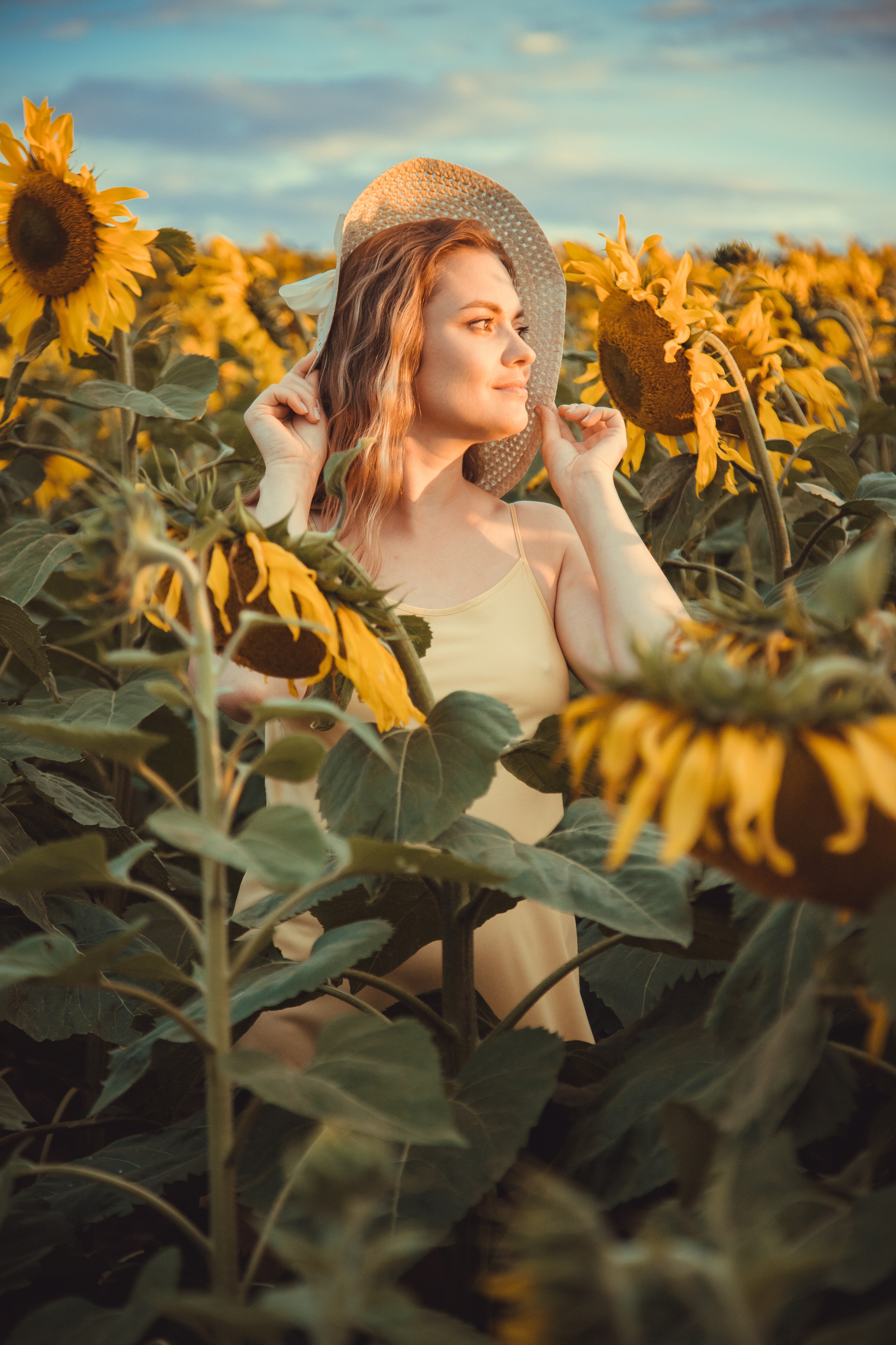 Подсолнухи. Фотография и видеосъёмка