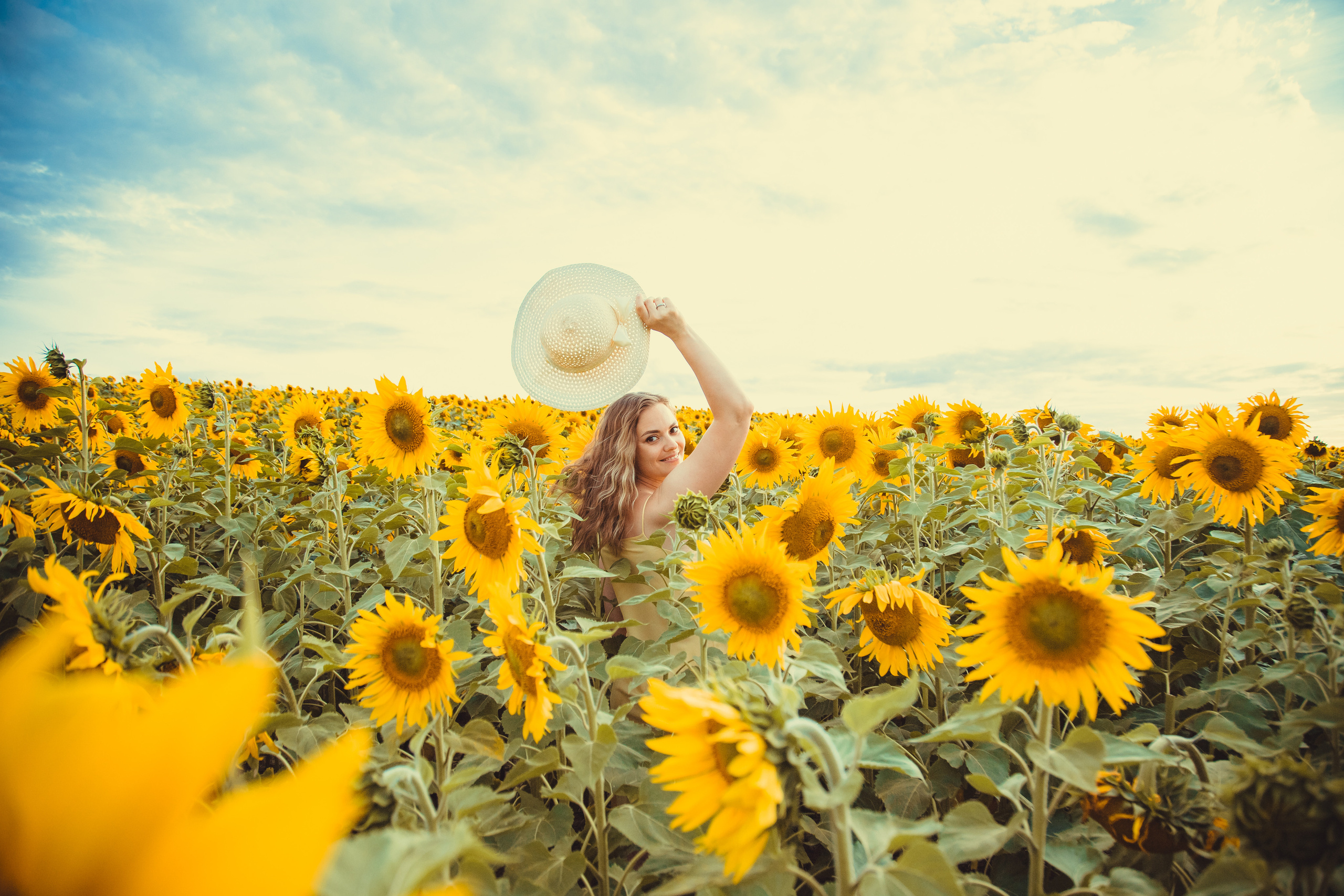 Подсолнухи. Фотография и видеосъёмка