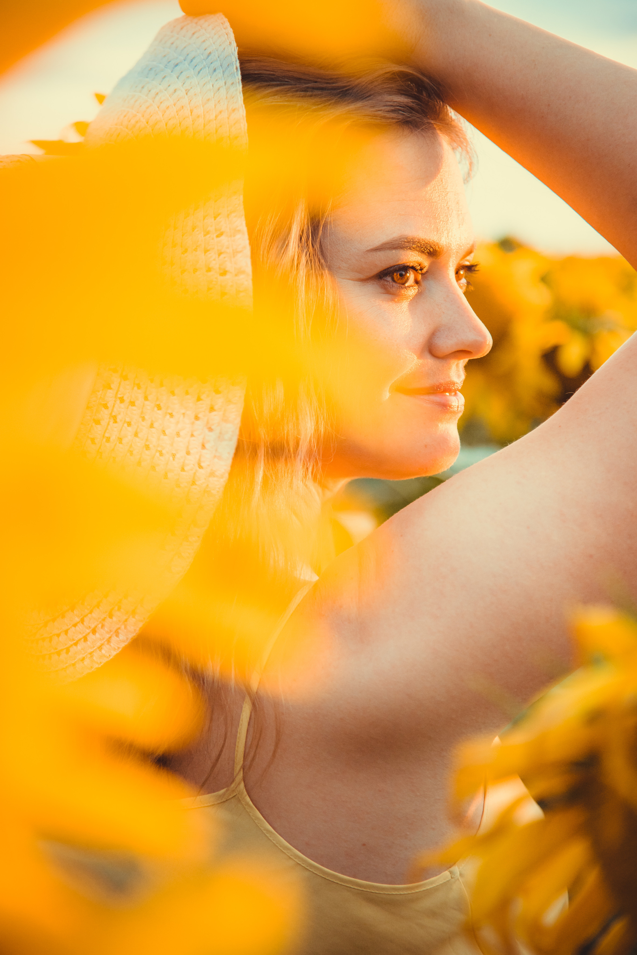 Подсолнухи. Фотография и видеосъёмка