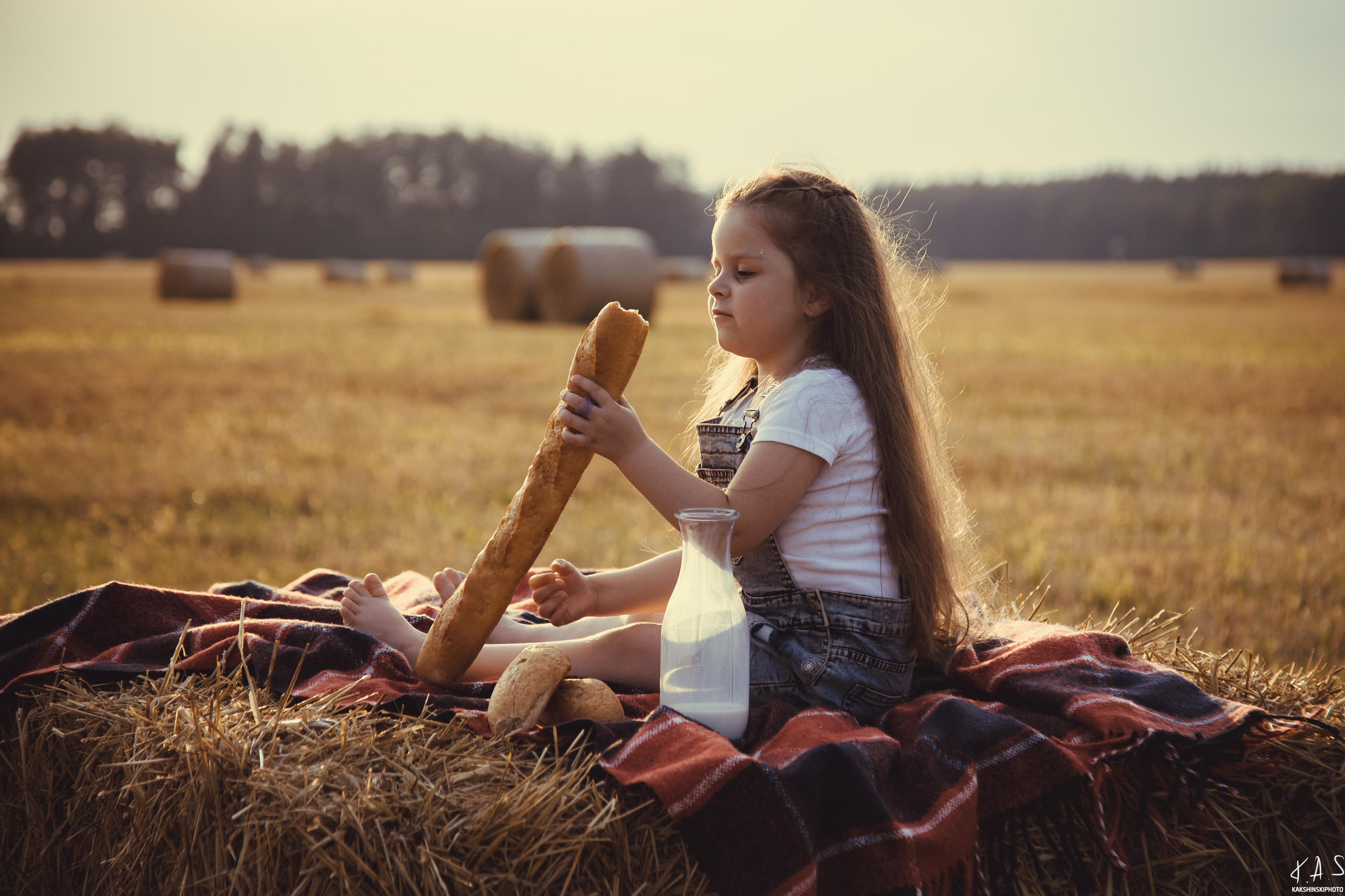 Колоски. Фотография и видеосъёмка