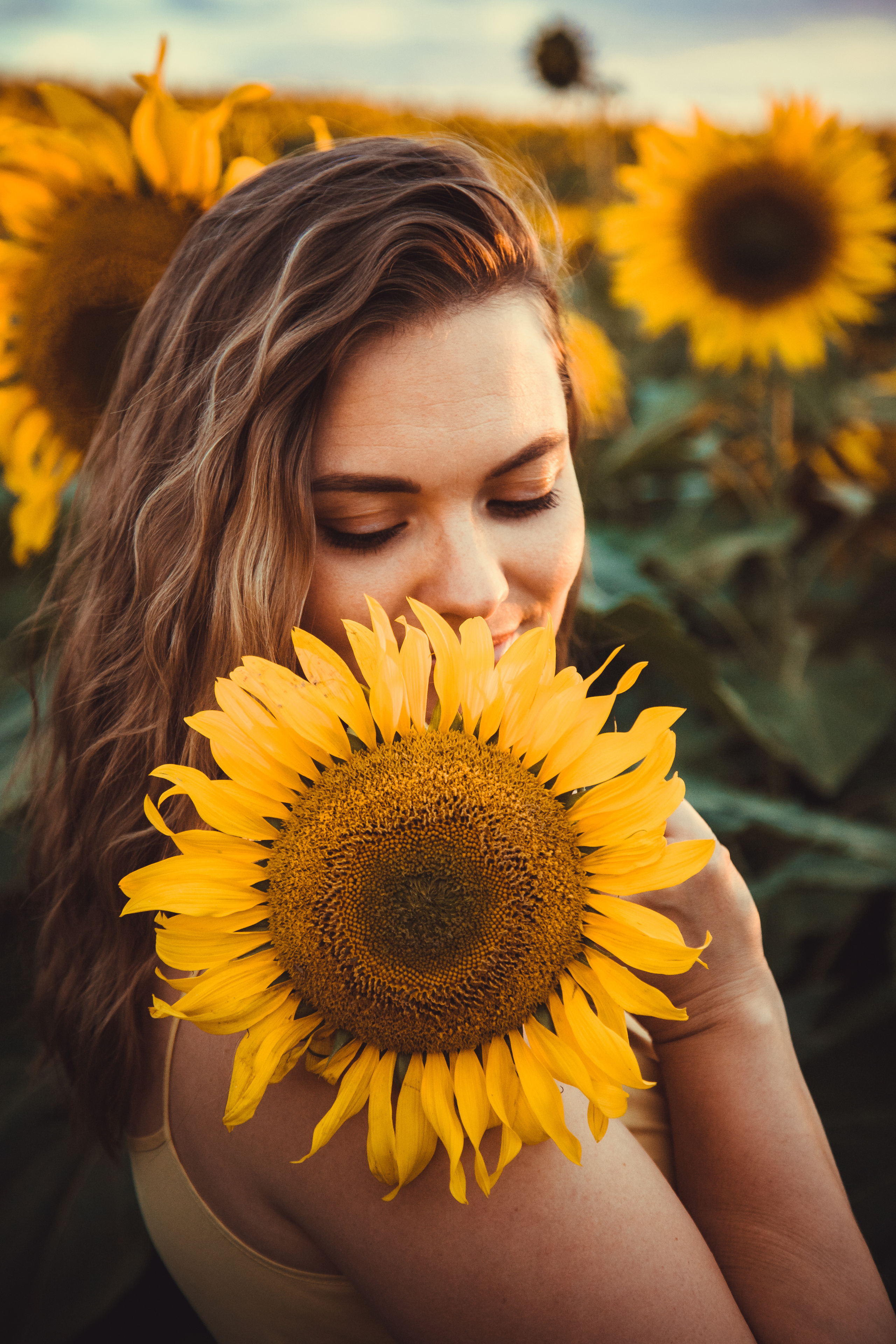 Подсолнухи. Фотография и видеосъёмка