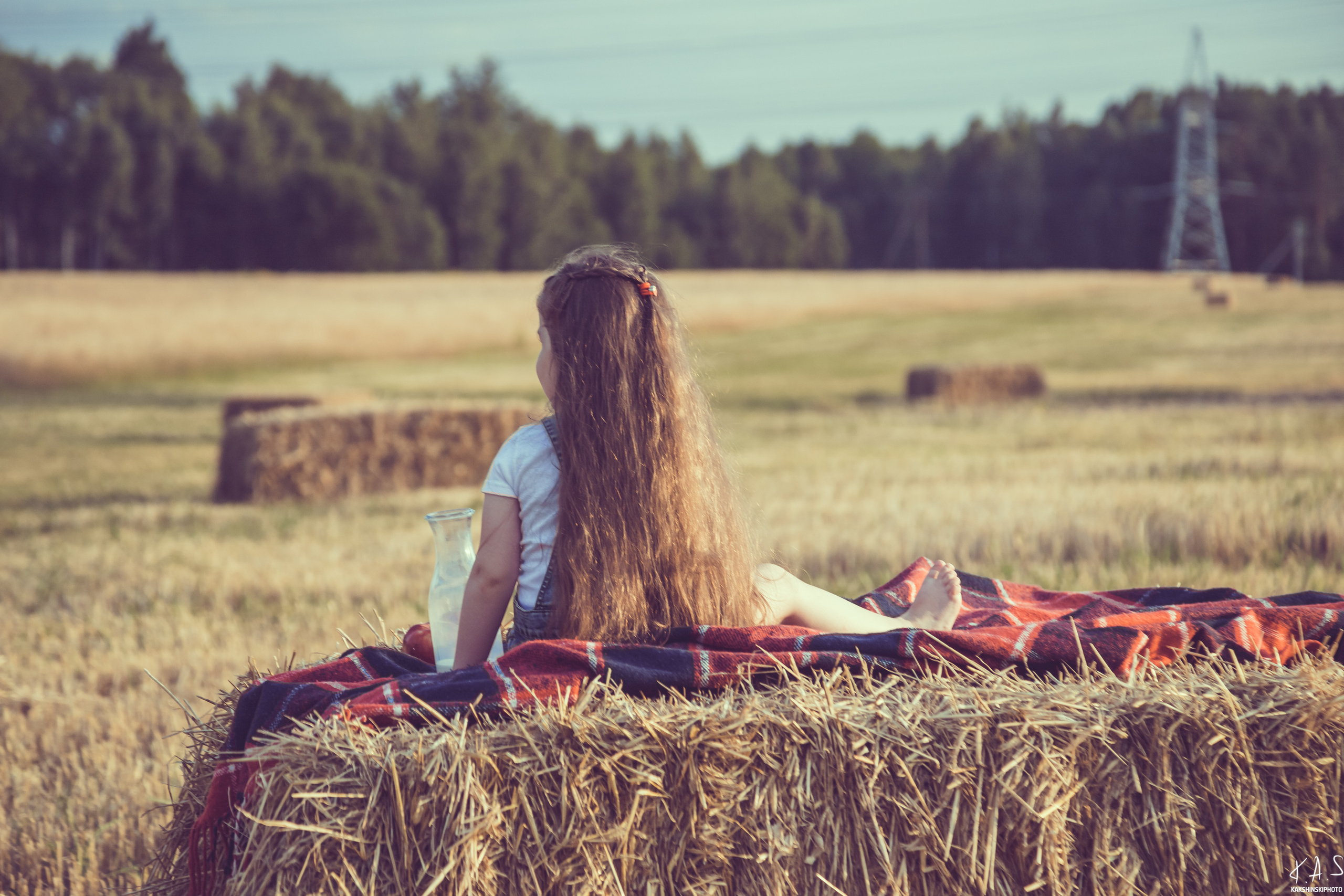 Колоски. Фотография и видеосъёмка