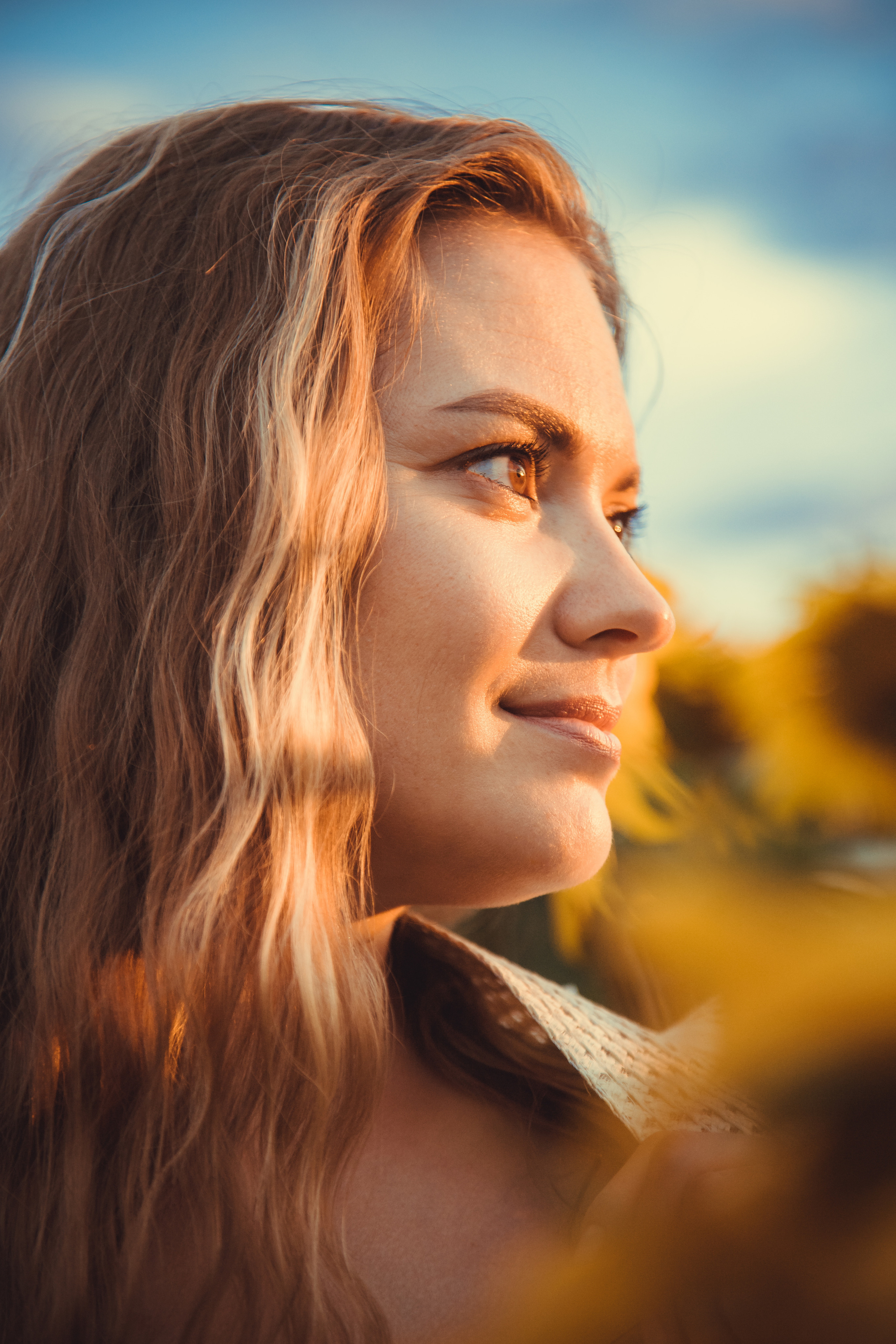 Подсолнухи. Фотография и видеосъёмка