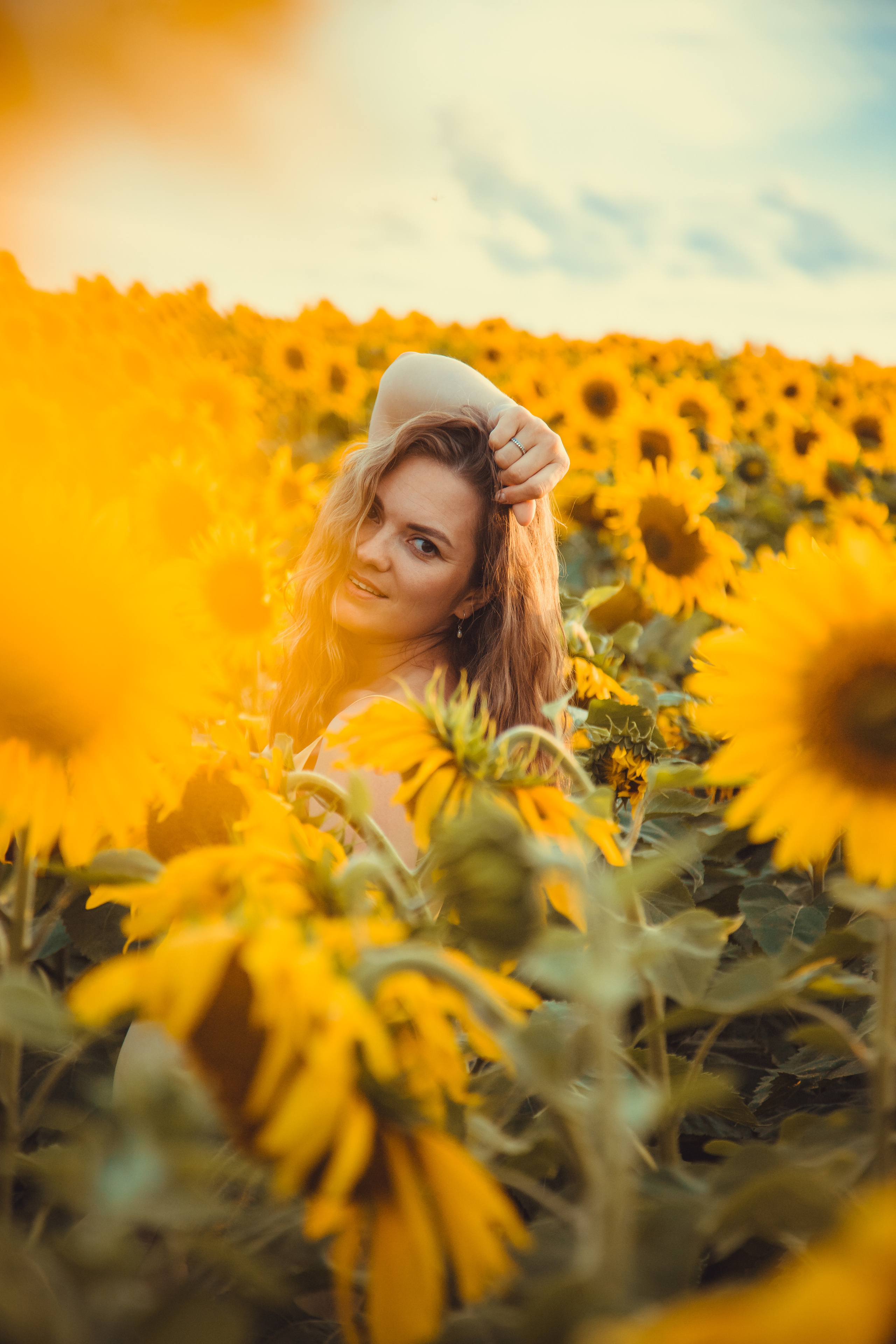 Подсолнухи. Фотография и видеосъёмка