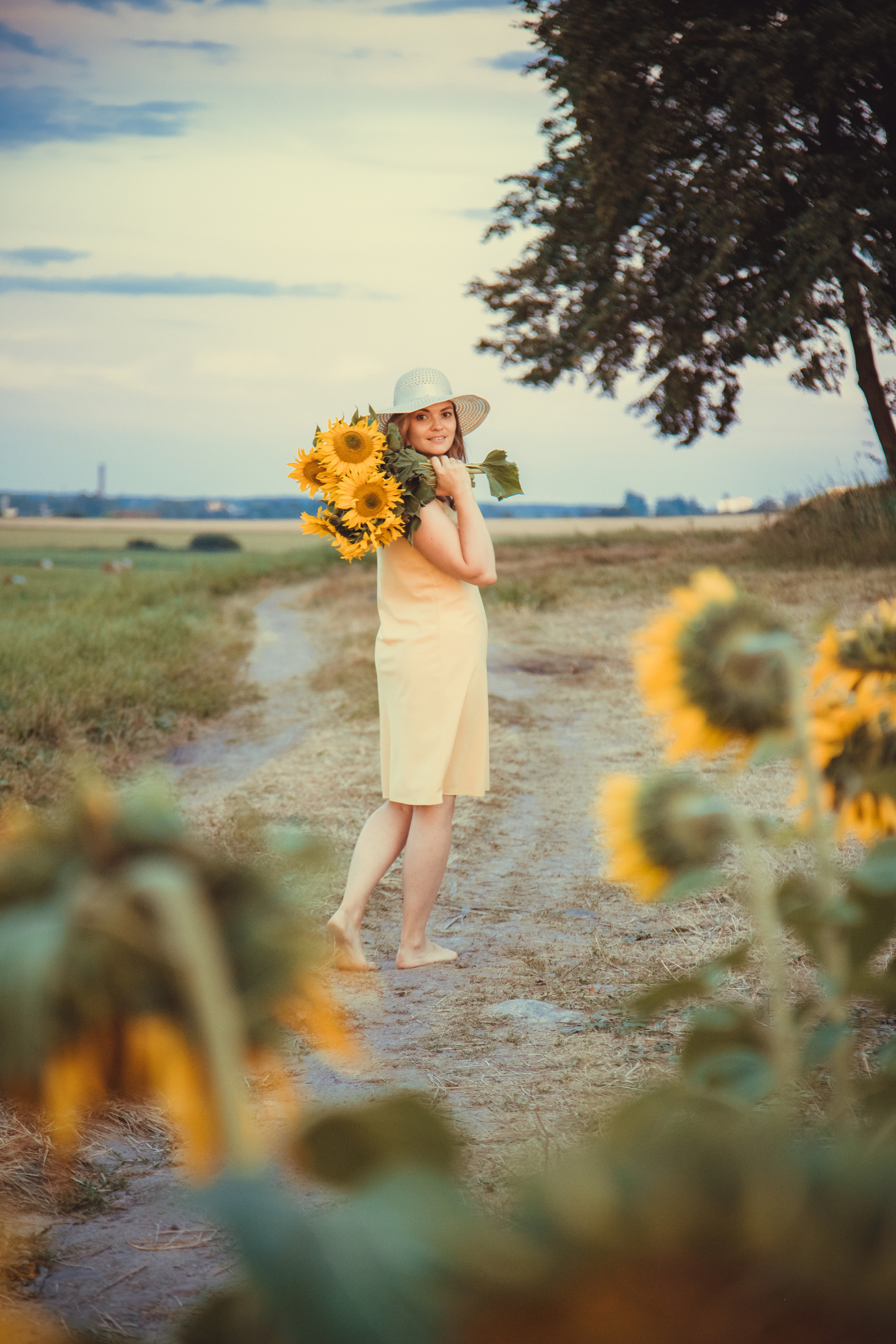 Подсолнухи. Фотография и видеосъёмка