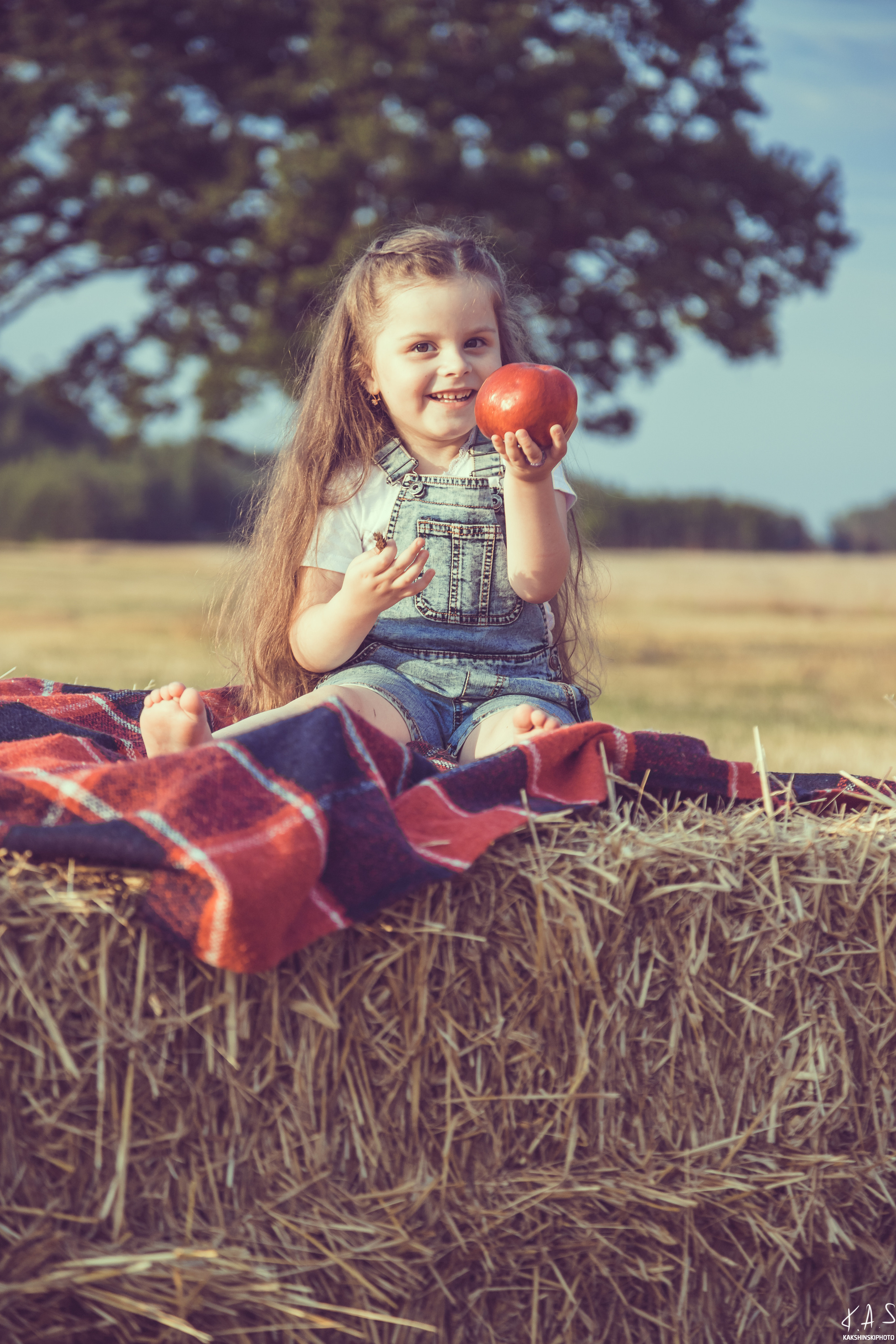 Колоски. Фотография и видеосъёмка