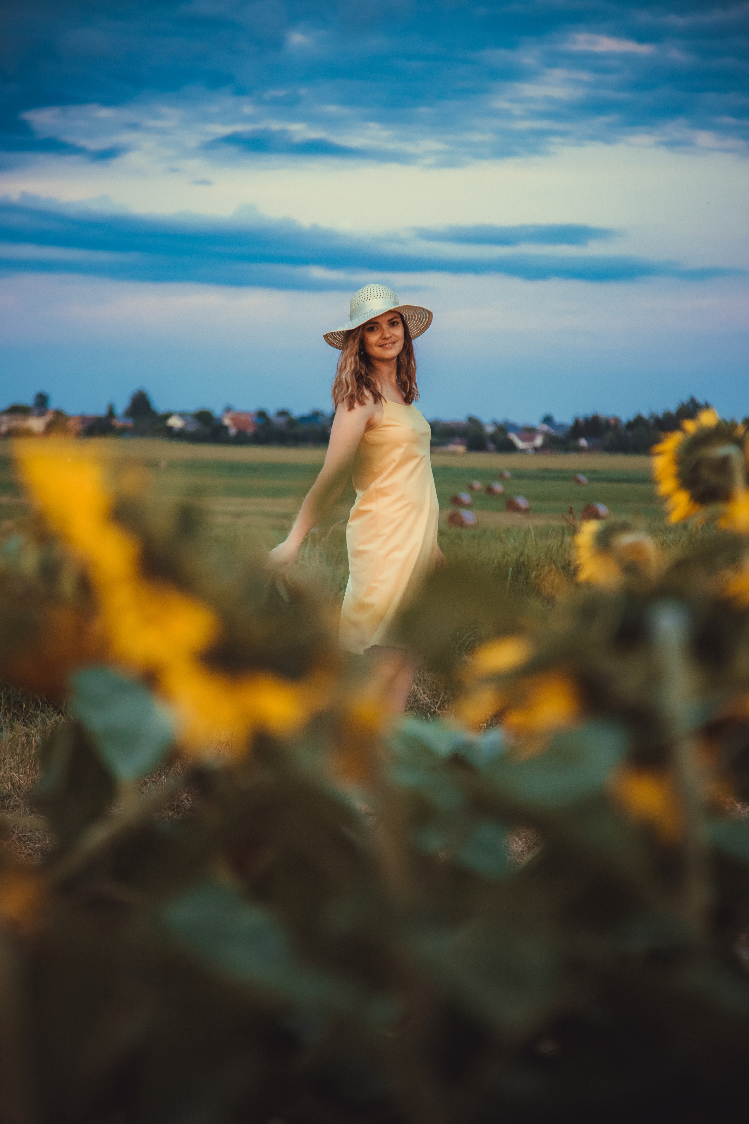 Подсолнухи. Фотография и видеосъёмка