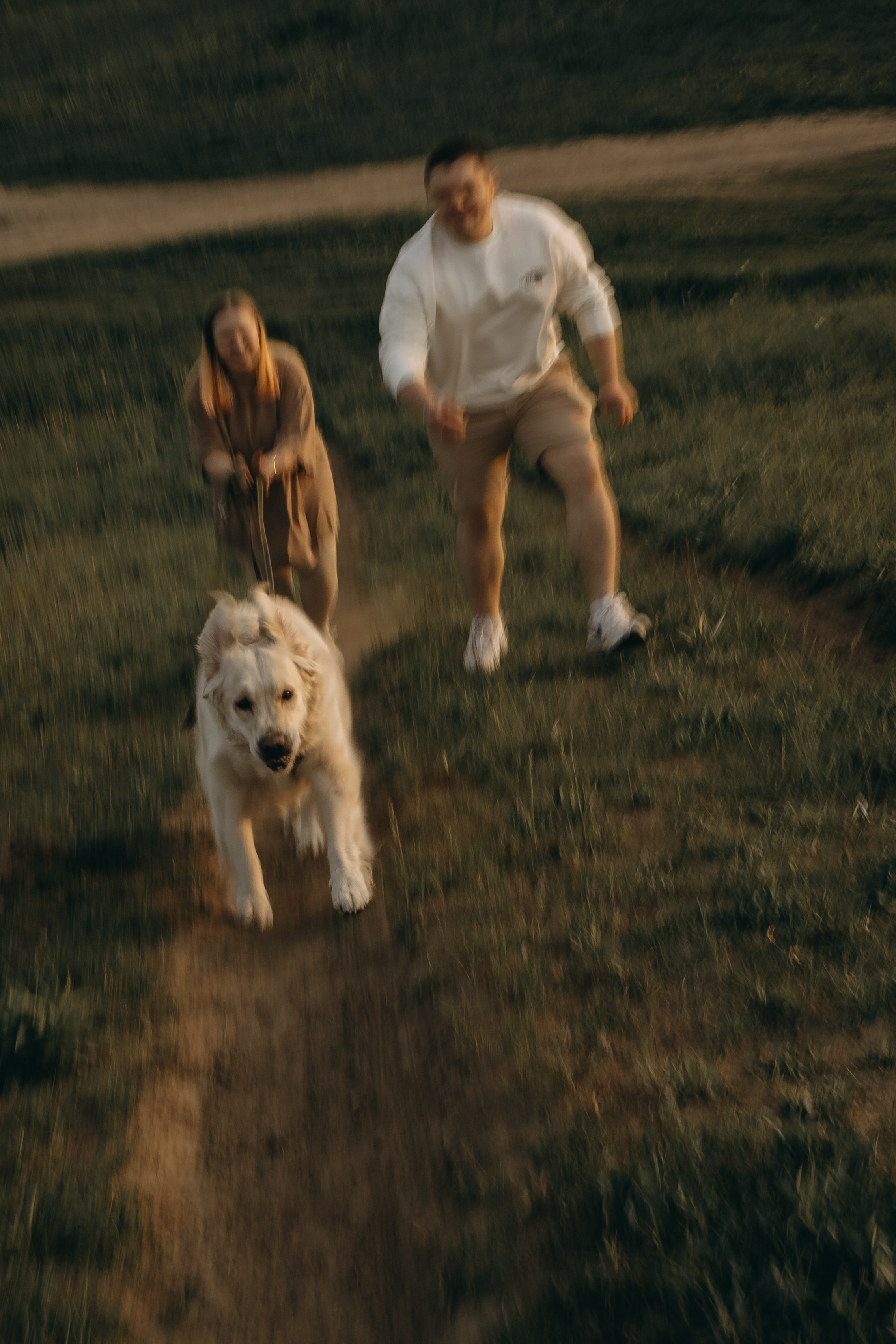 Милка и ребята. Фотограф — Анималист | Санкт-Петербург