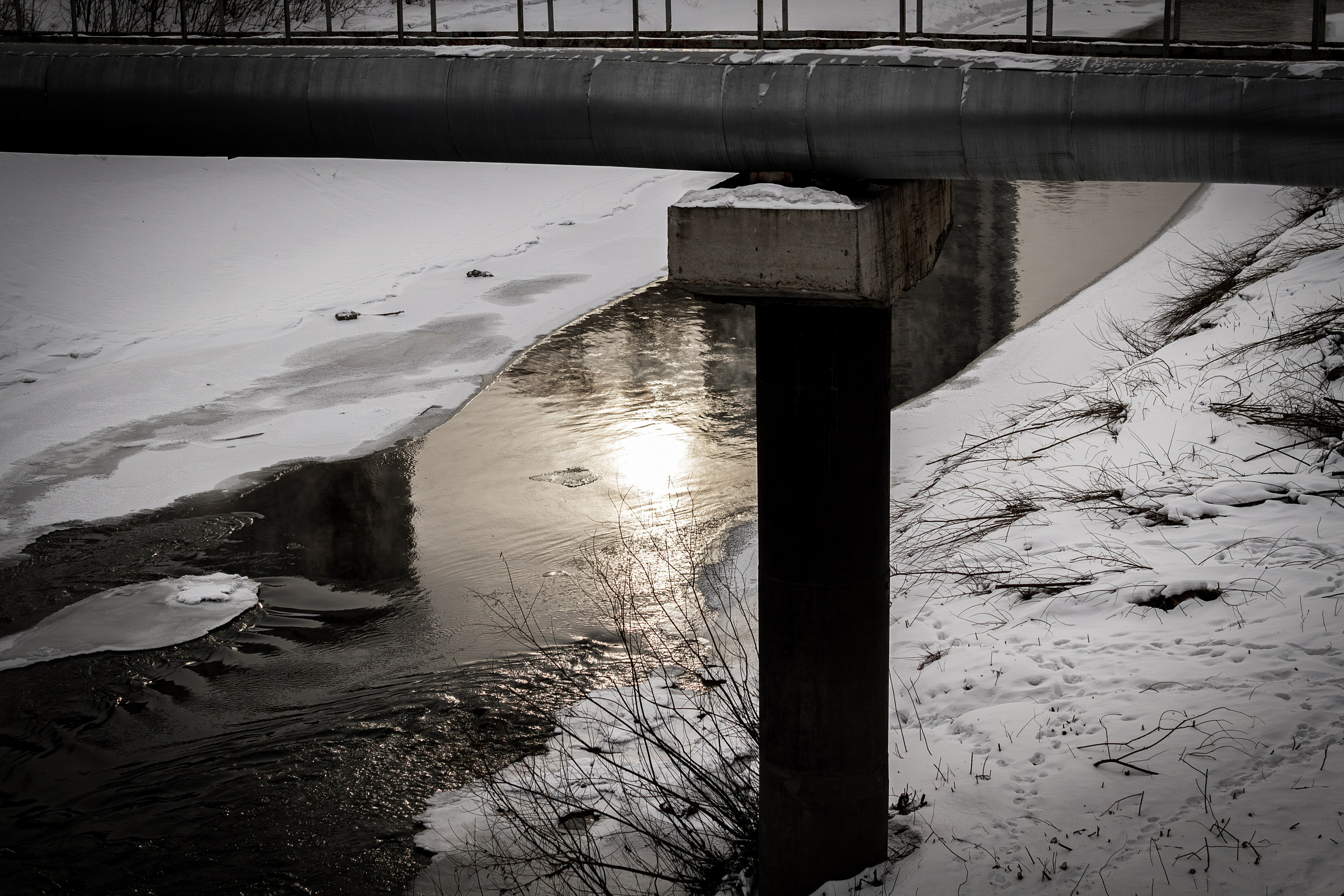 Новокузнецк. Фотограф в Новокузнецке