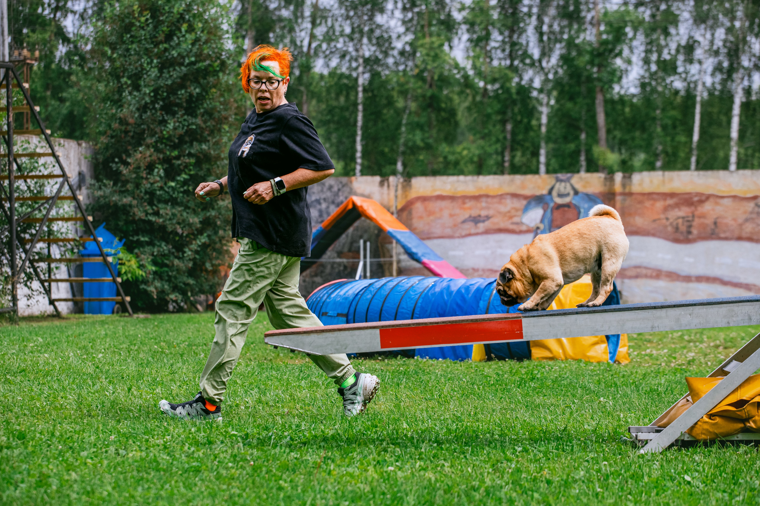 Соревнования по аджилити Долгопрудный 30.06.2025. Фотограф-анималист Татьяна Степанова