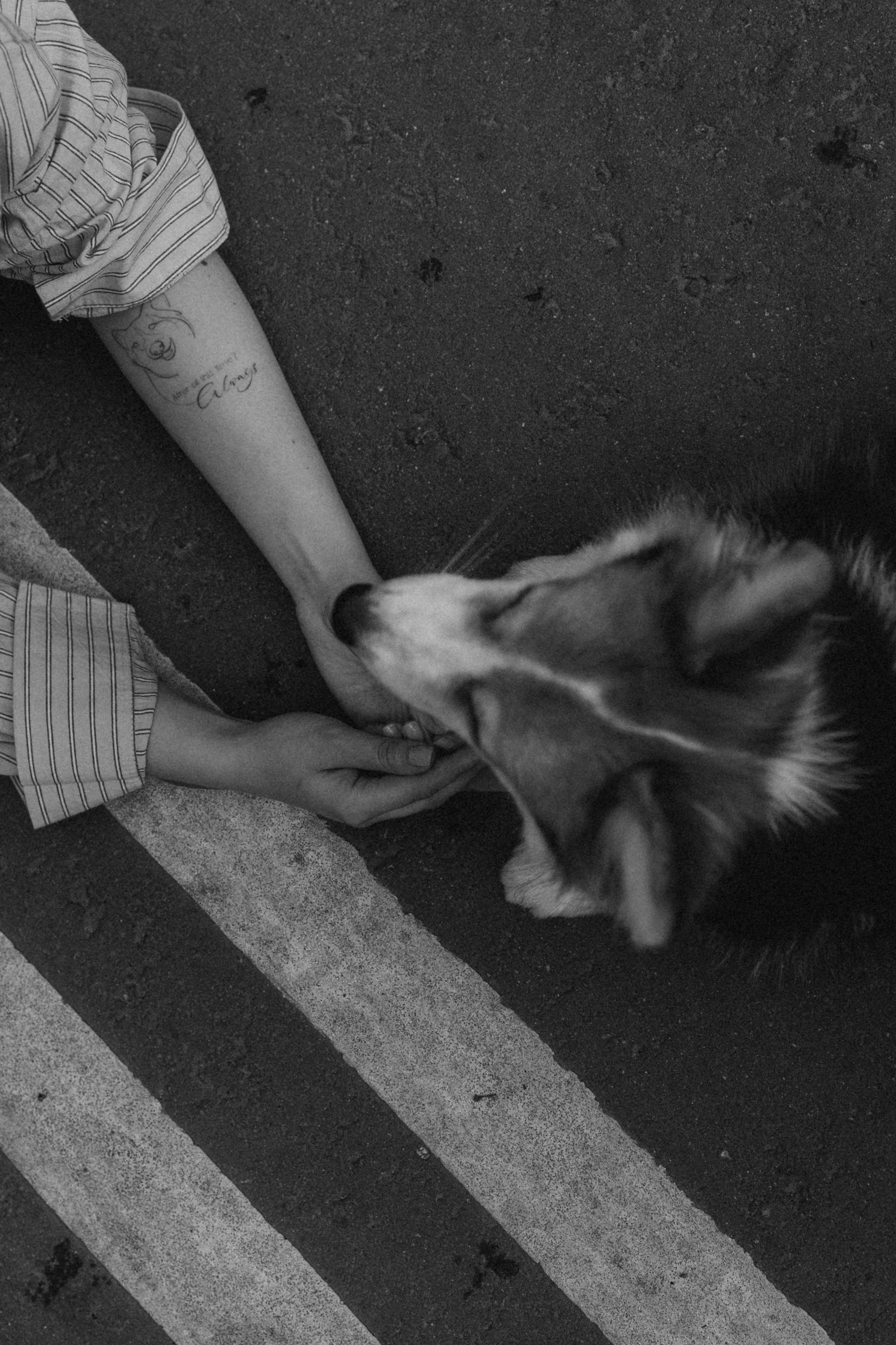 Мишель и Влада. Фотораф — анималист Мария Шистка