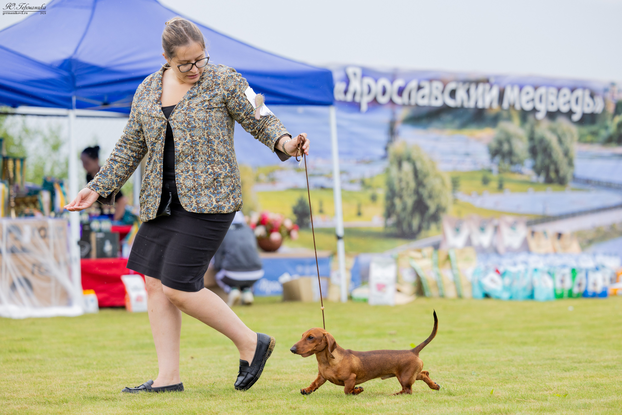 Ярославль 21.07.24 и Балашиха 13.07.24. Фотограф-анималист Юлия Германика