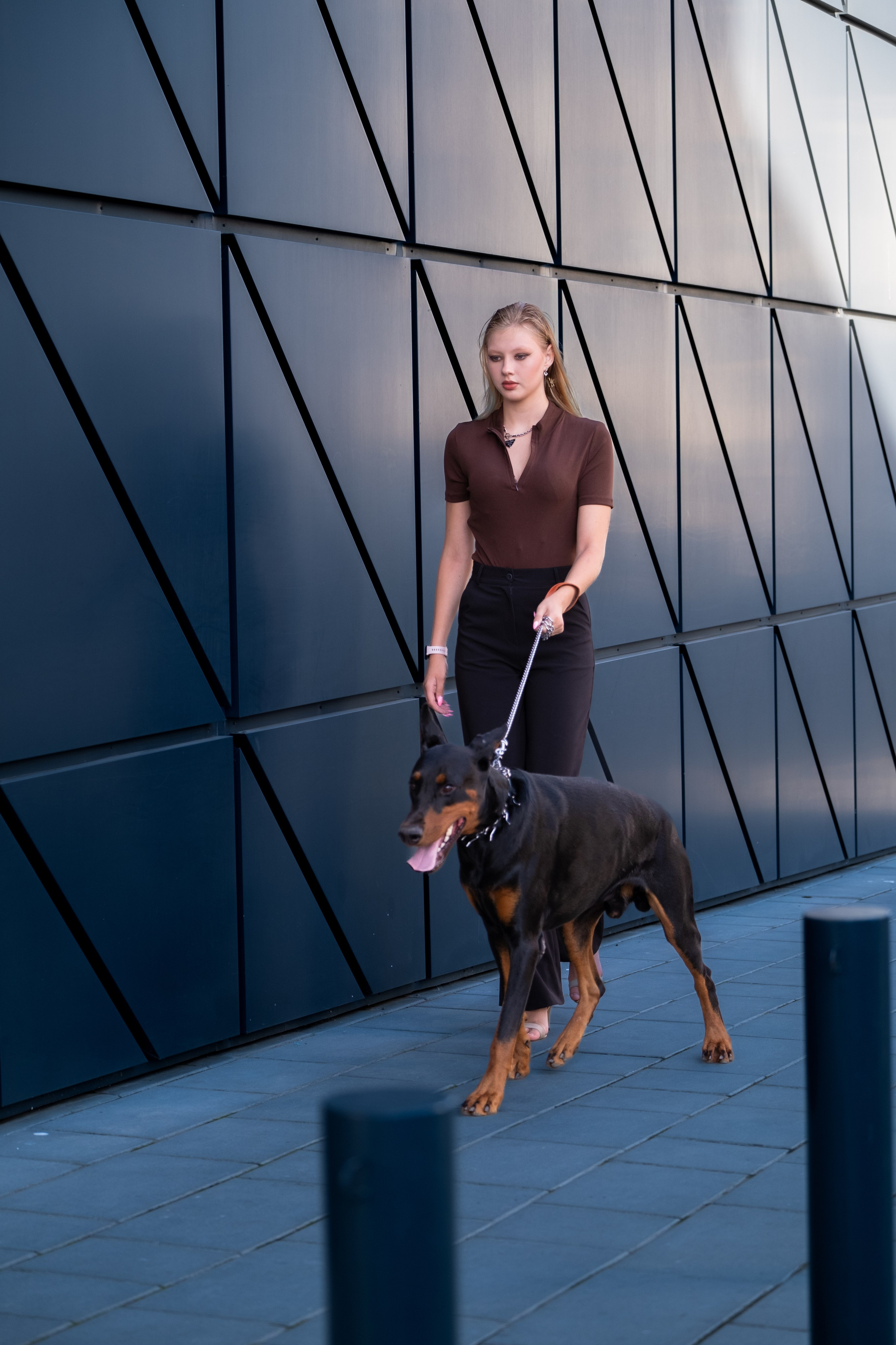 Фотосессия с Доберманом. Профессиональная фотосъемка в Крыму. Натуральные эмоции и живые кадры. Забронируйте дату прямо сейчас!