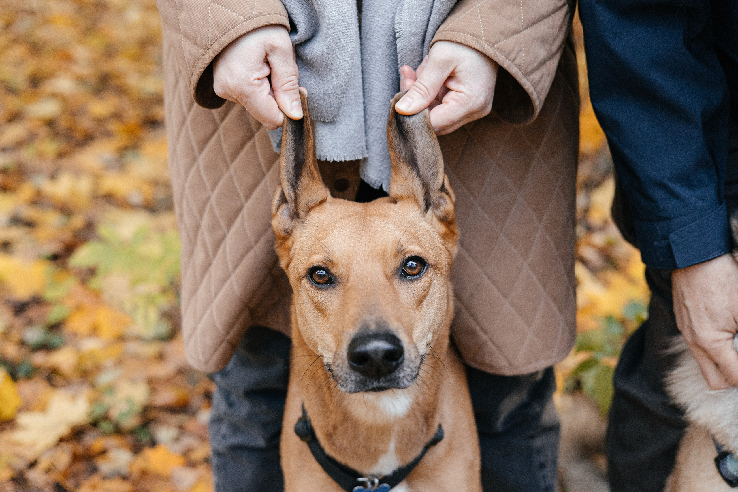 Нелли, Лёша, Рэй и Норд. Фотограф Анна Луценко Москва