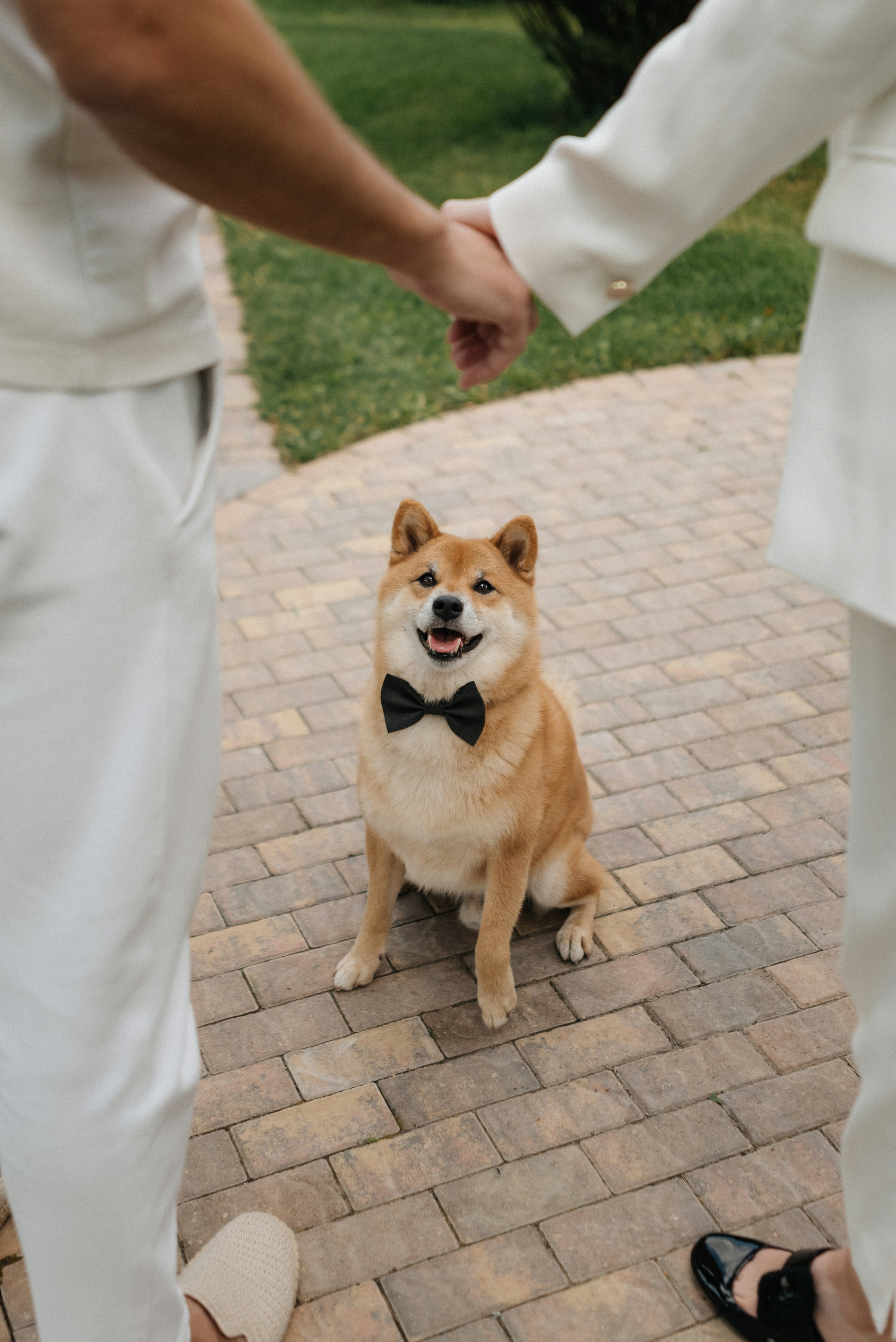Янина и Семен. Свадебный и портретный фотограф в Минске Татьяна Лобода