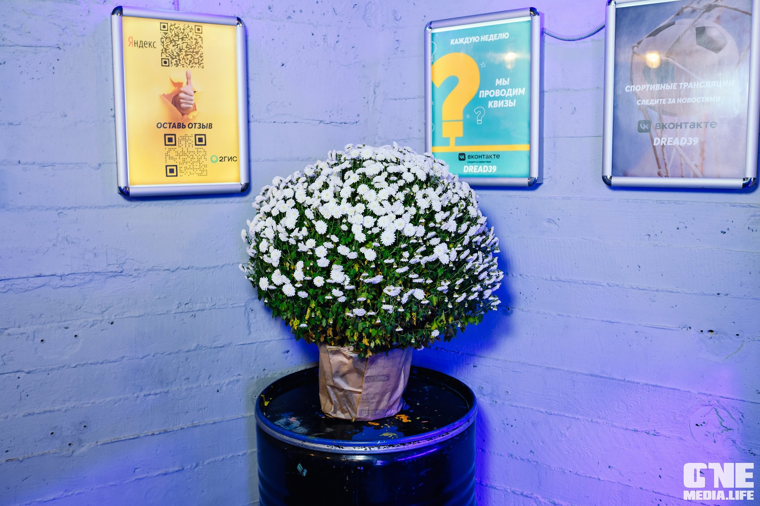 Квиз в баре Dreadnought. One Media Life: фоторепортажи, фотоотчеты с мероприятий и заведений