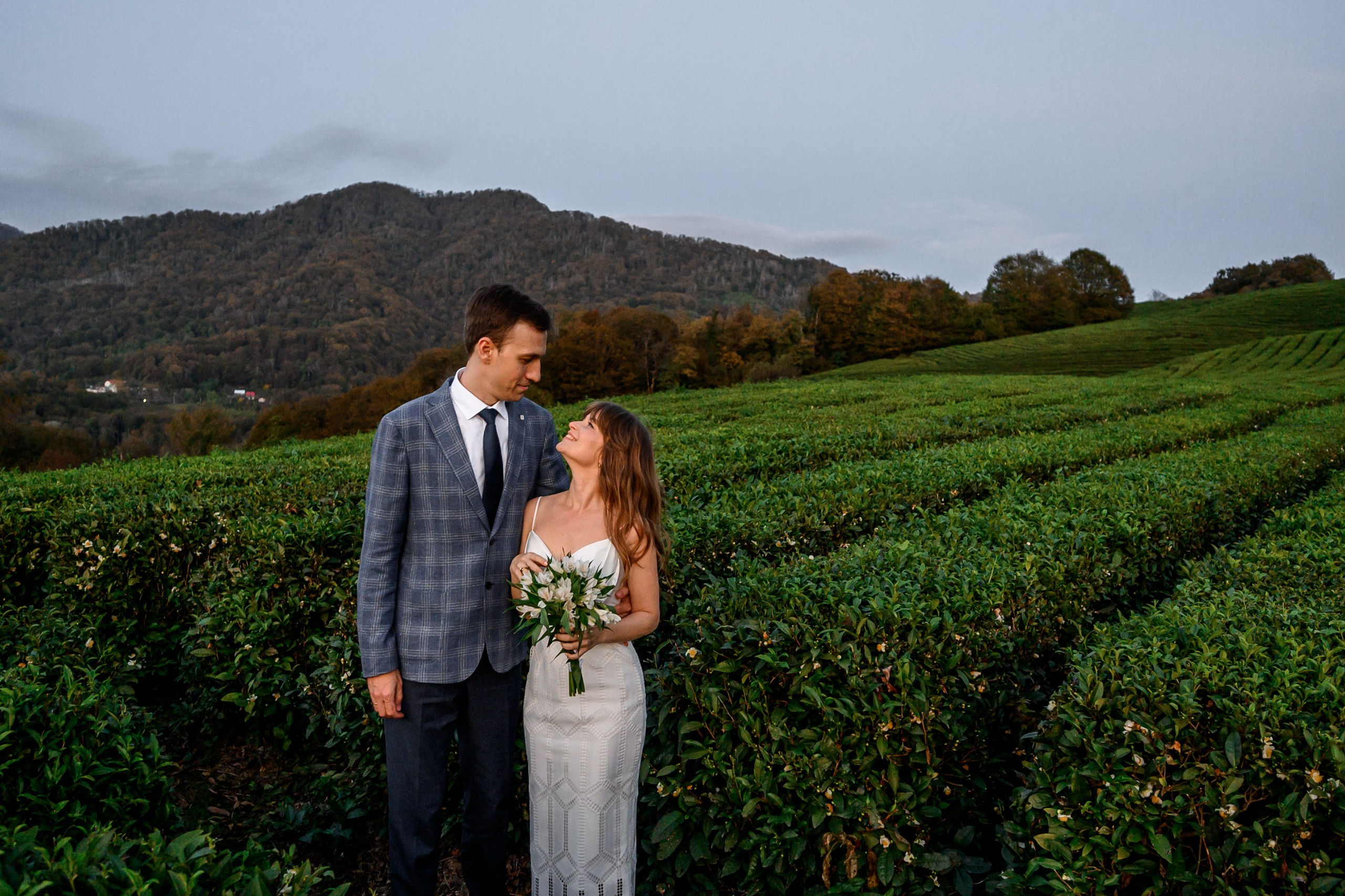 Чайные плантации. Олег и Светлана. Свадебный и семейный фотограф София Невская
