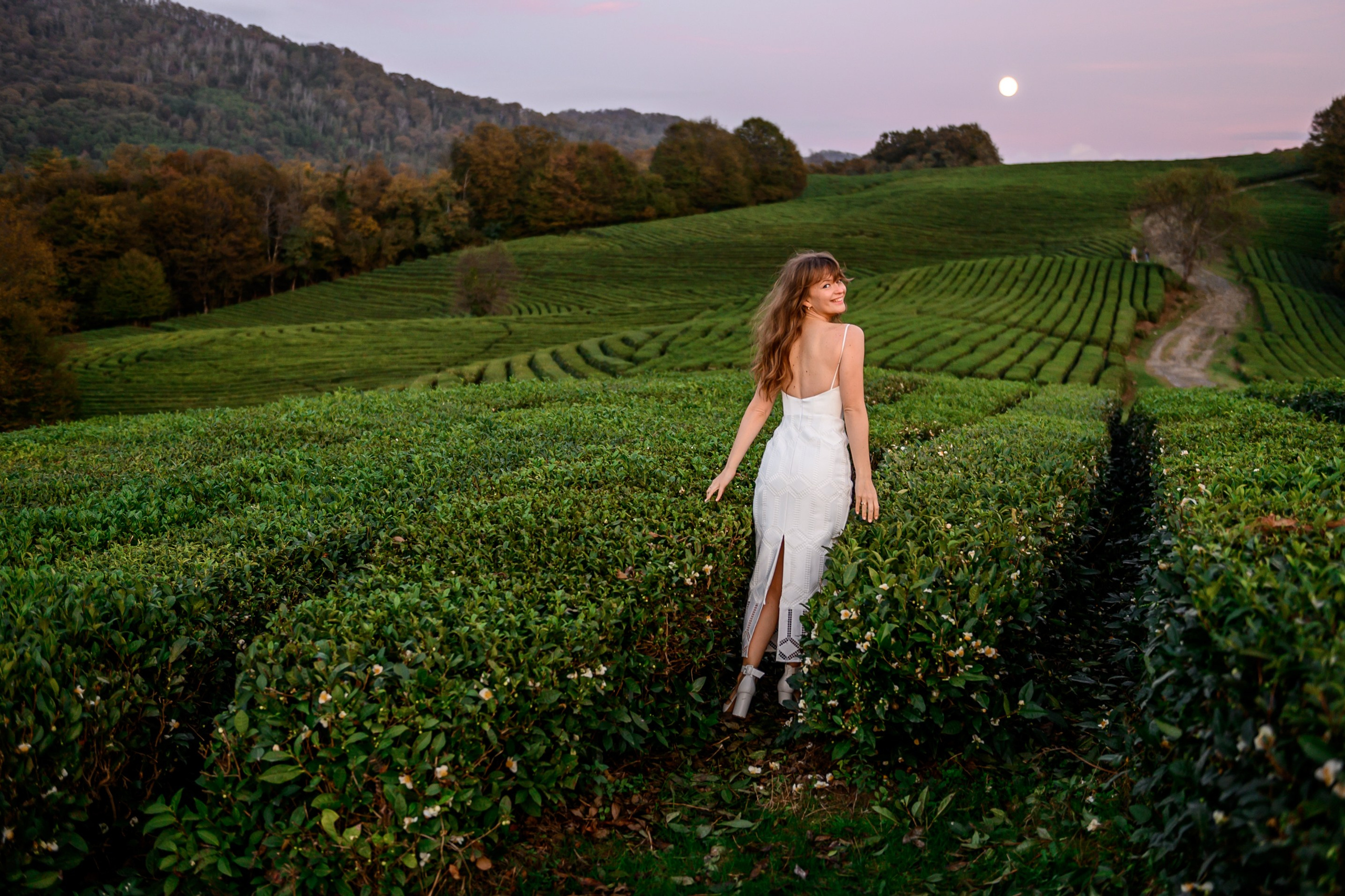 Чайные плантации. Олег и Светлана. Свадебный и семейный фотограф София Невская