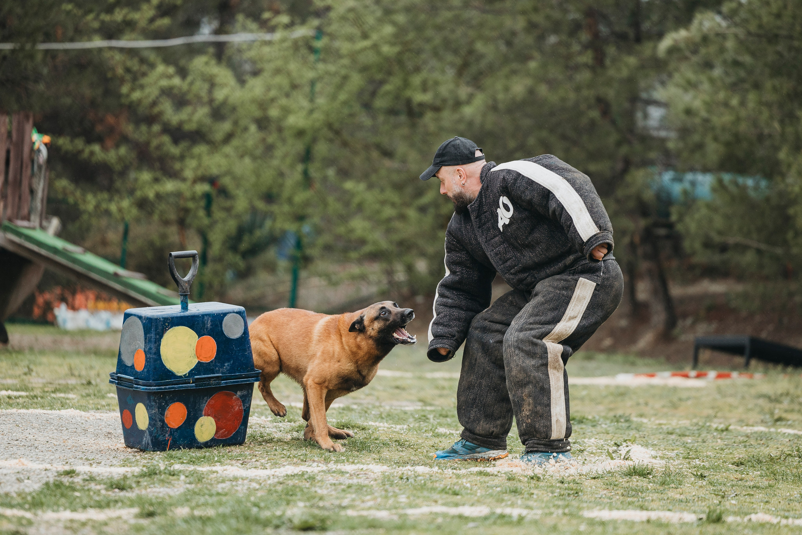 Геленджик Мондьоринг. Фотограф-анималист Анна Маринич