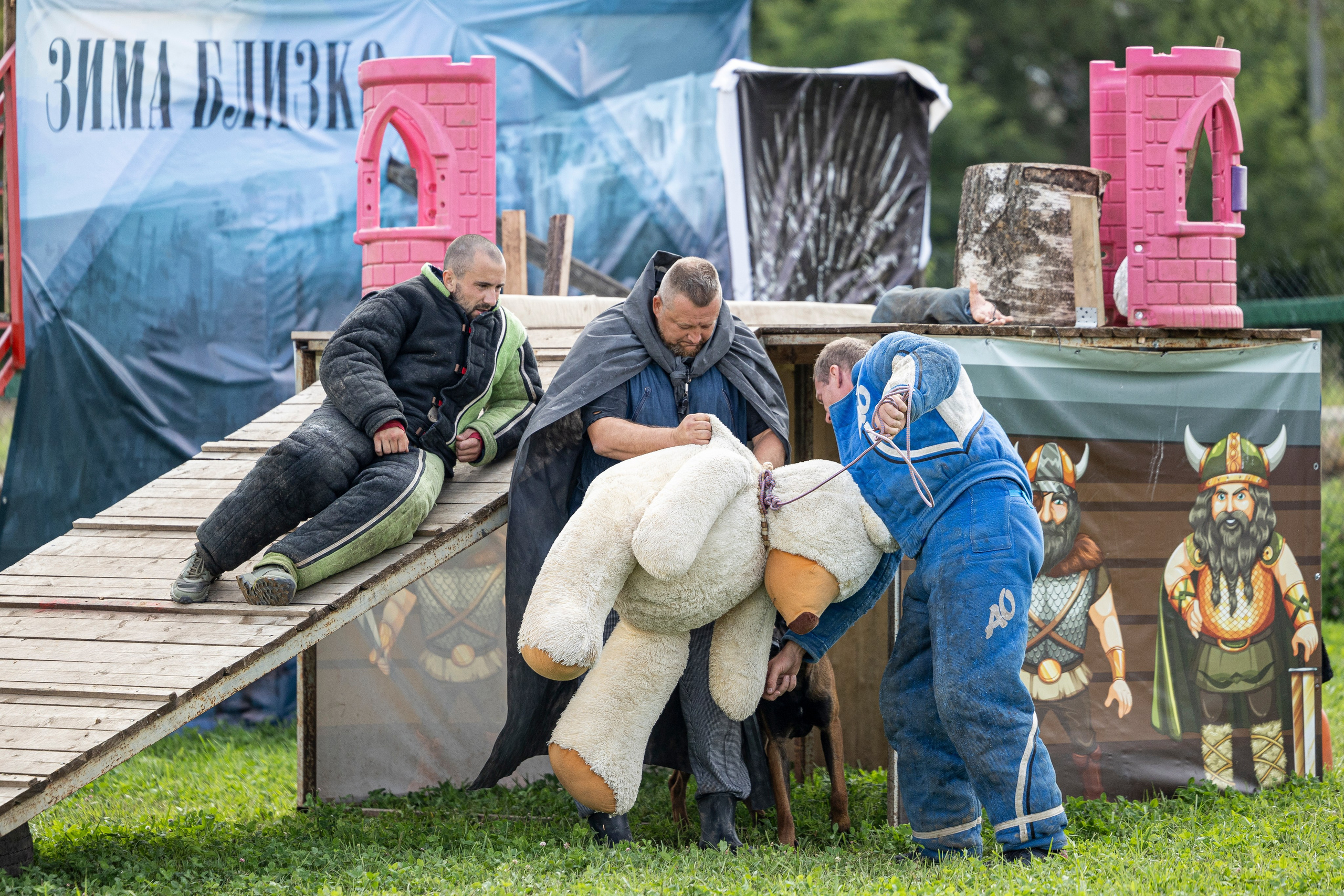 Соревнования по Мондьорингу г. Вологда 10-11.08.2024. Фотограф-анималист Анна Маринич
