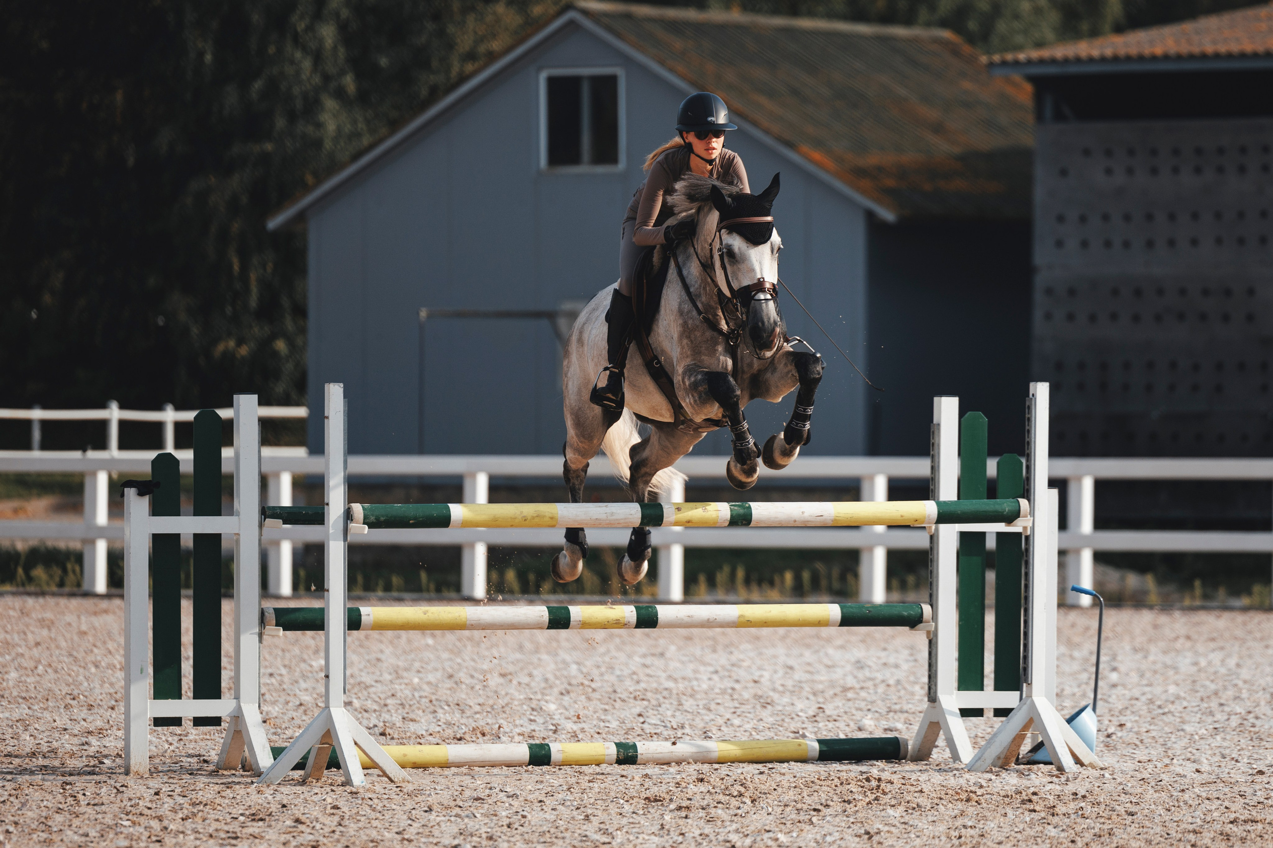 Конкур. Фотограф-анималист Анна Маринич