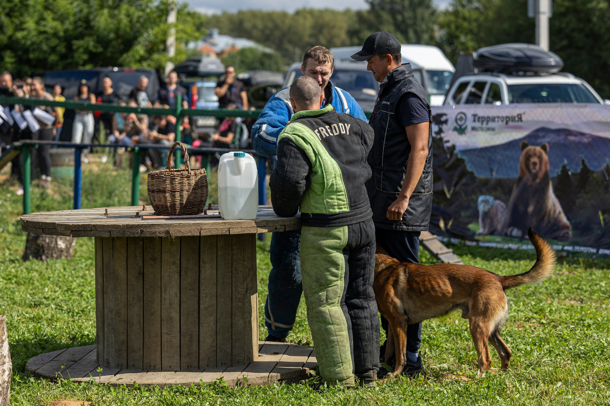 Соревнования по Мондьорингу г. Вологда 10-11.08.2024. Фотограф-анималист Анна Маринич