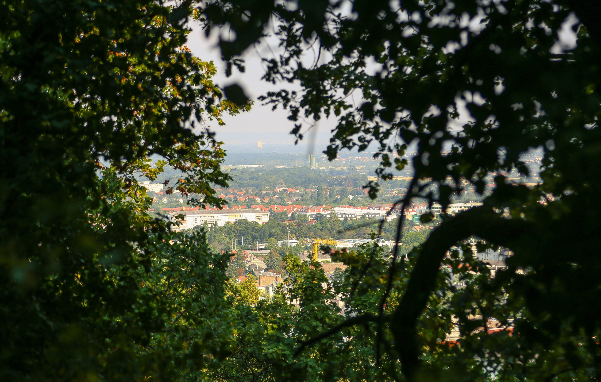 Австрия: Баден. Дарья Письменюк / Darya Leitstern — фотограф, музыкант, журналист, путешественник