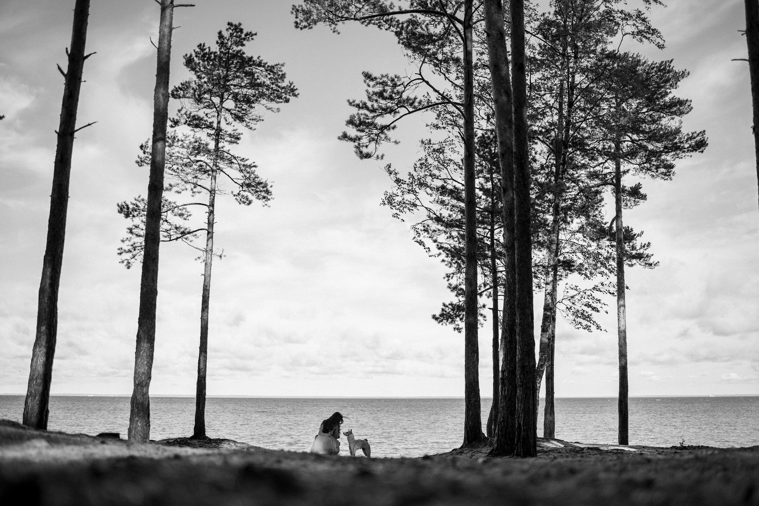 Алиса и Лео. Фотограф — Анималист | Санкт-Петербург