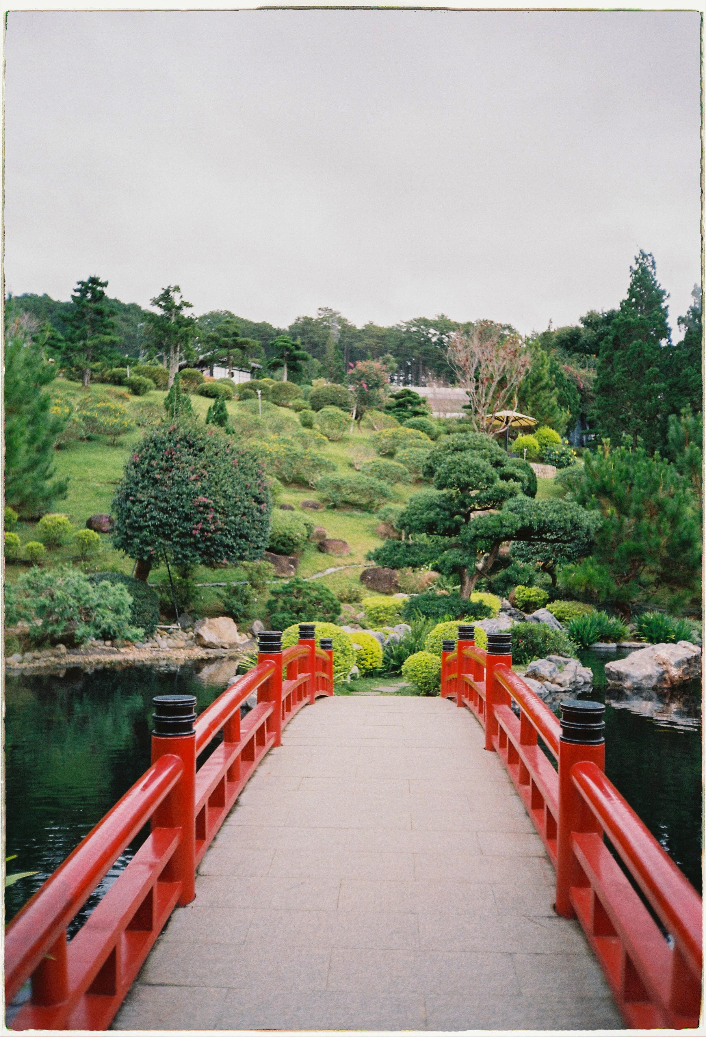 Que garden. Film Photographer in Da Nang, Vietnam — Tanya Parfenteva