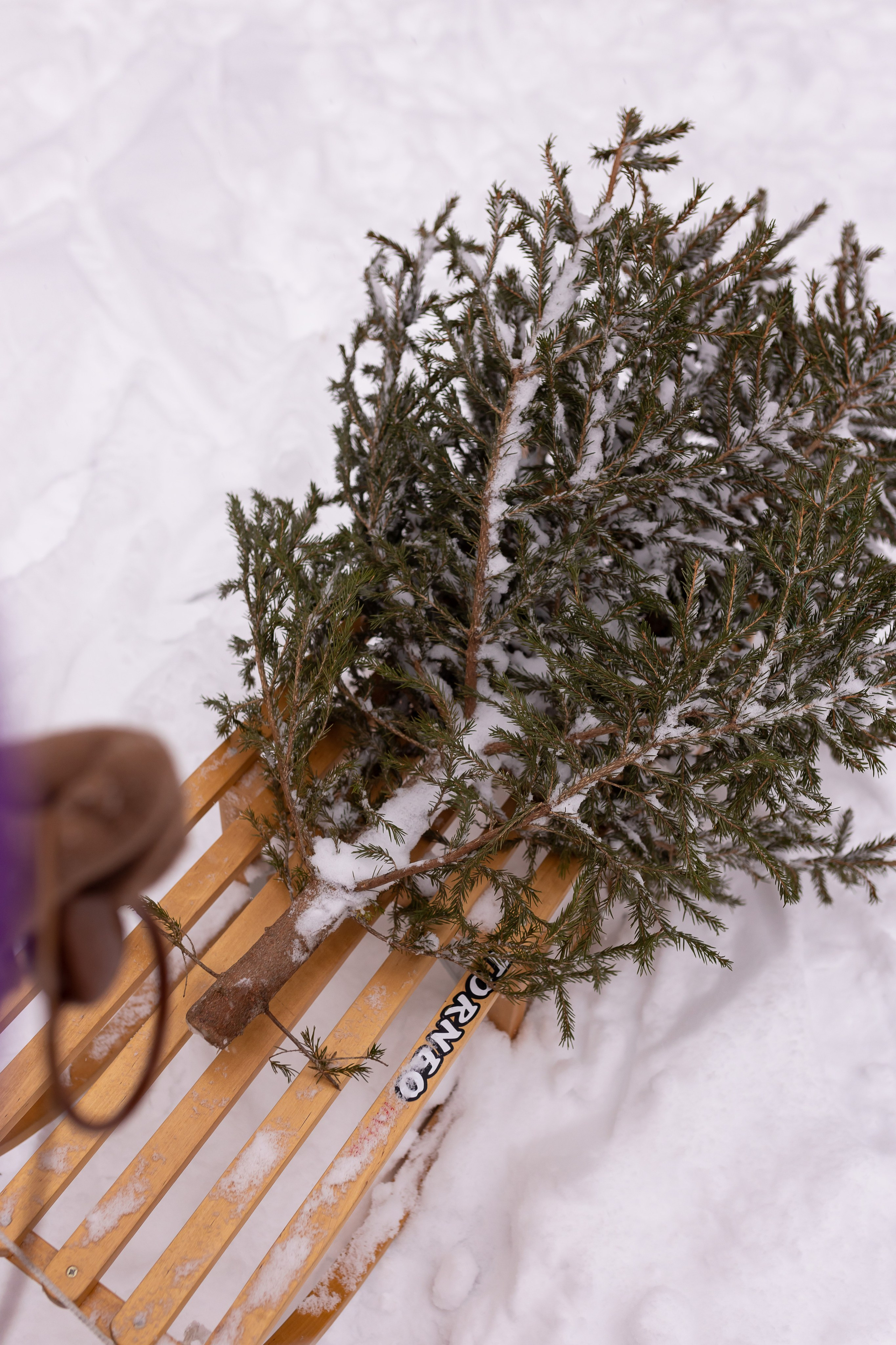 Первый снег в Декабре 2024. Семейный и детский фотограф в городе Подолск МО Крылова Ирина