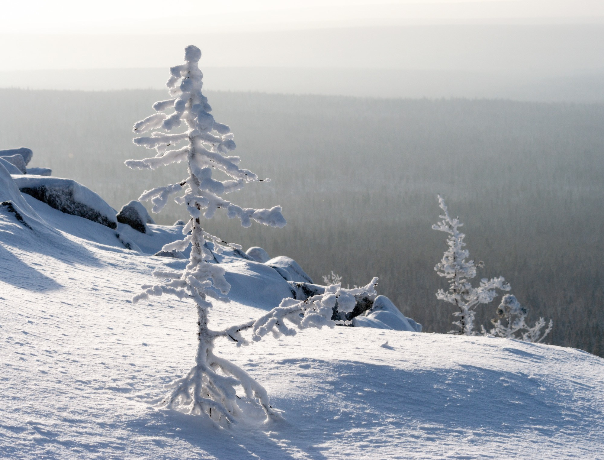 Сияющий зимний лес и снег создают неповторимую атмосферу уральского утра.