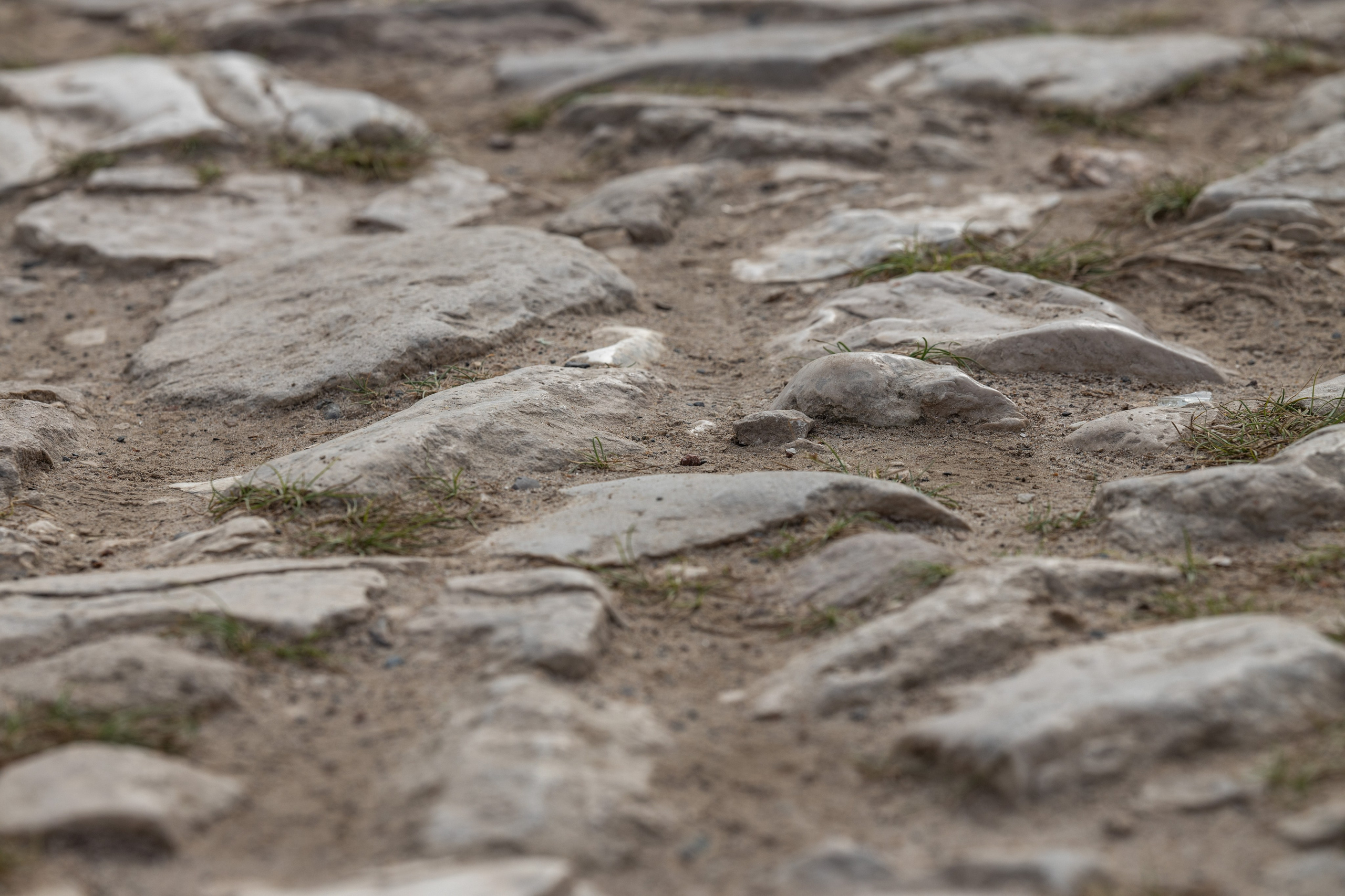 Природные пейзажи. Наталия Клевинскас портретный фотограф в Костроме