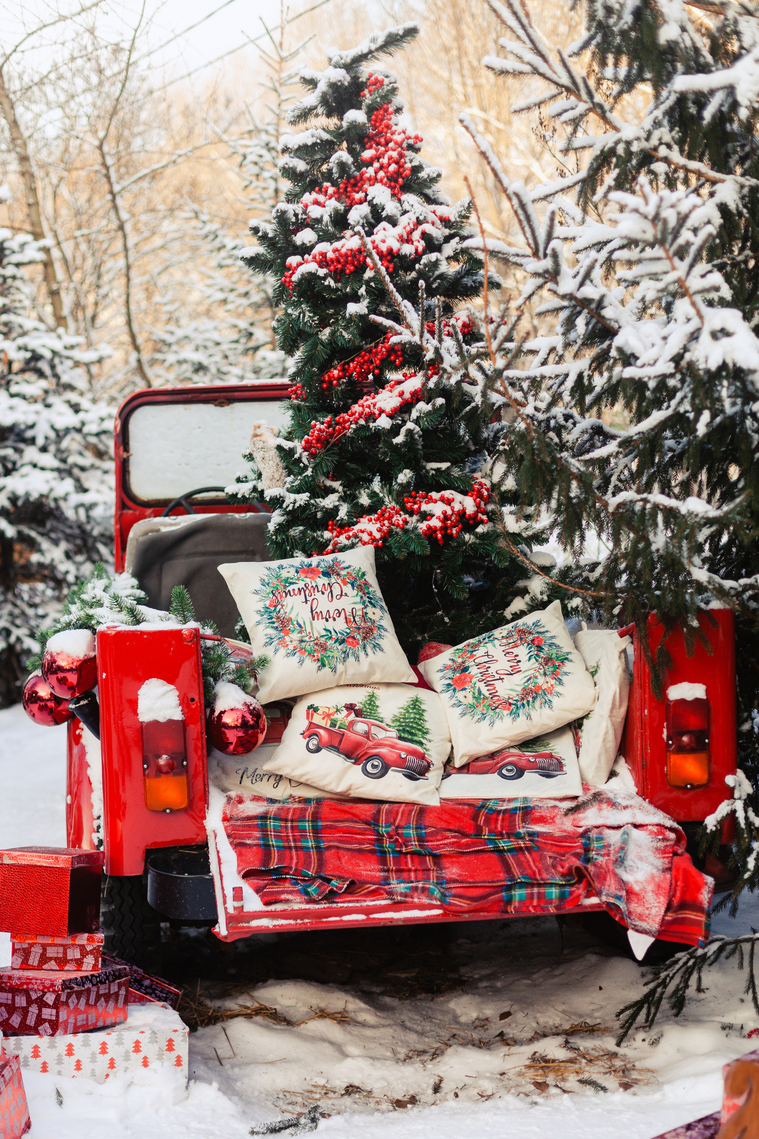 Зингер дача. Фотограф-анималист Татьяна Степанова