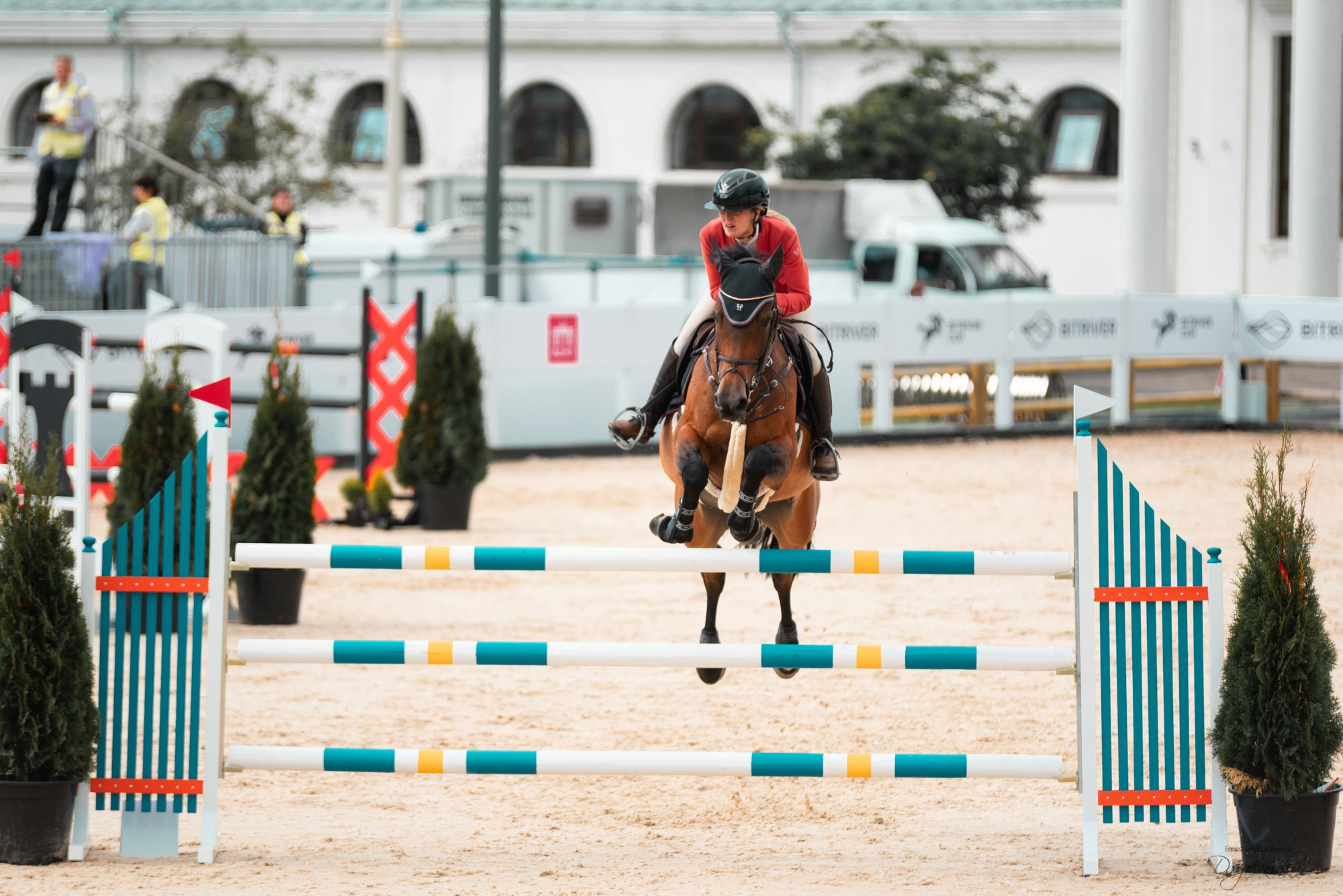 BITRIVER CUP 2023. Конный фотограф Куракина Дарья • Фотосессии с лошадьми