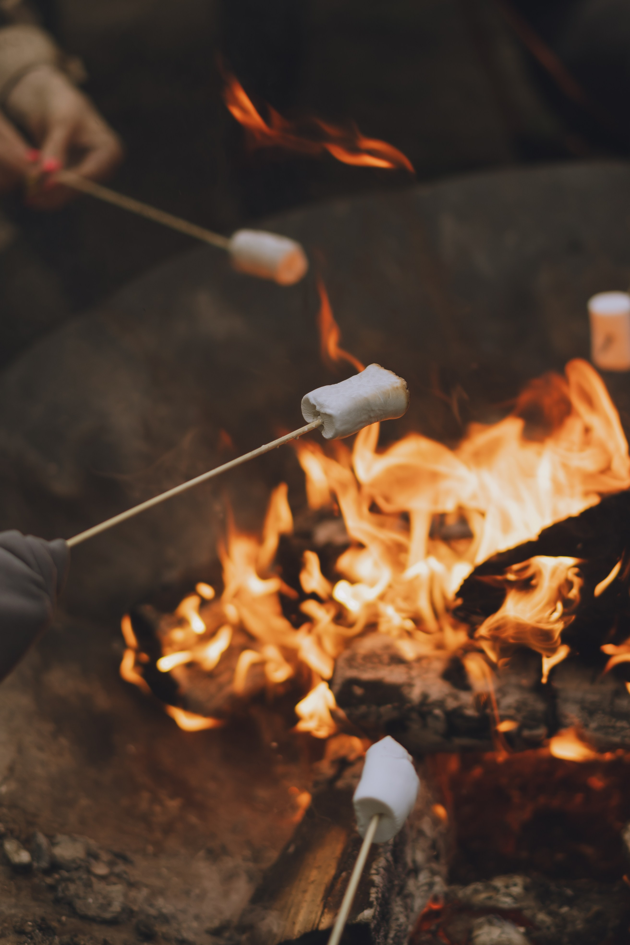 Палаточный форум CAMPot 2025. Фотограф Надежда Погребняк | Рязань | Москва