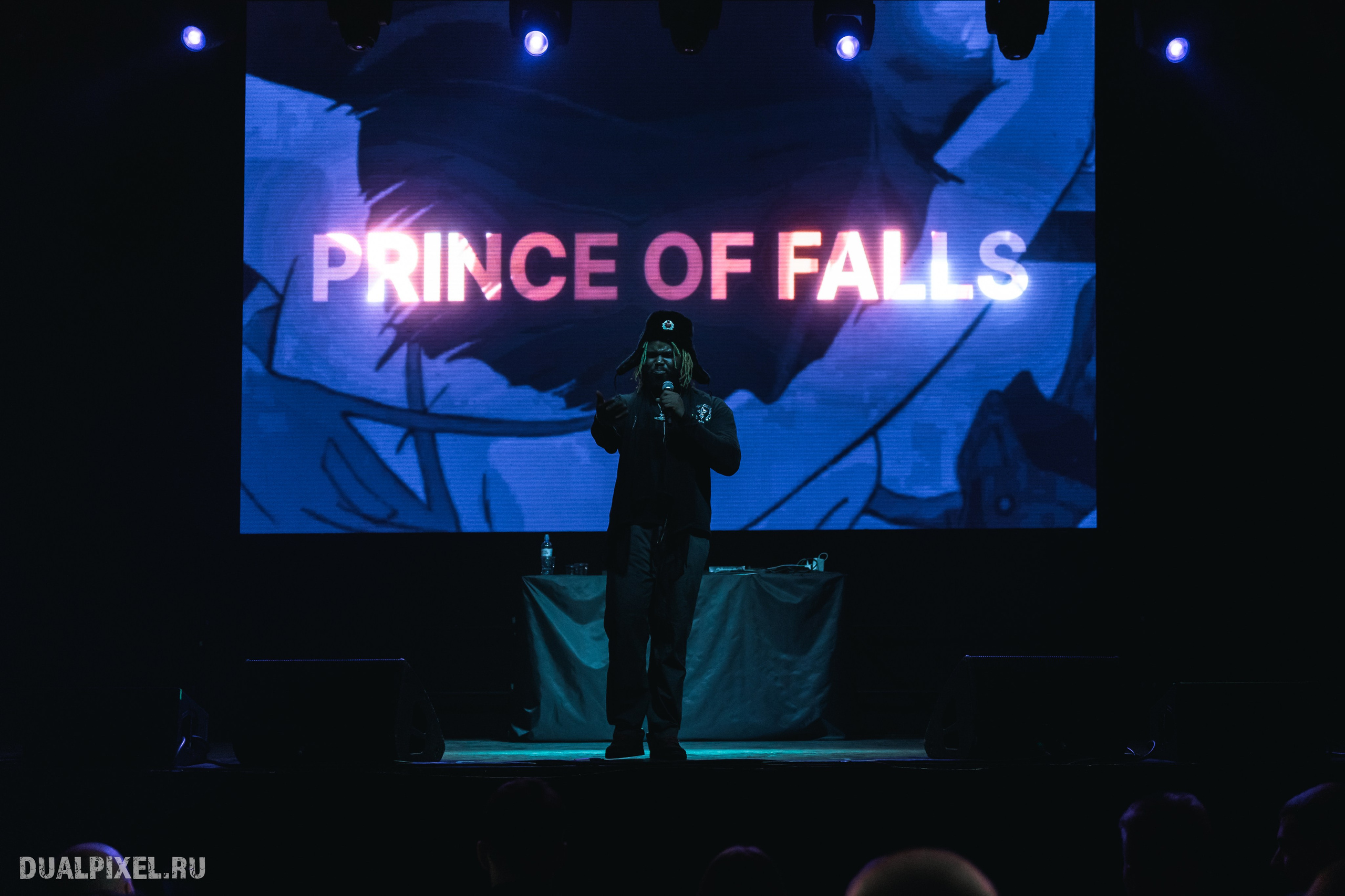 Prince Of Falls. Магия музыки в кадре: Концертная Фотография