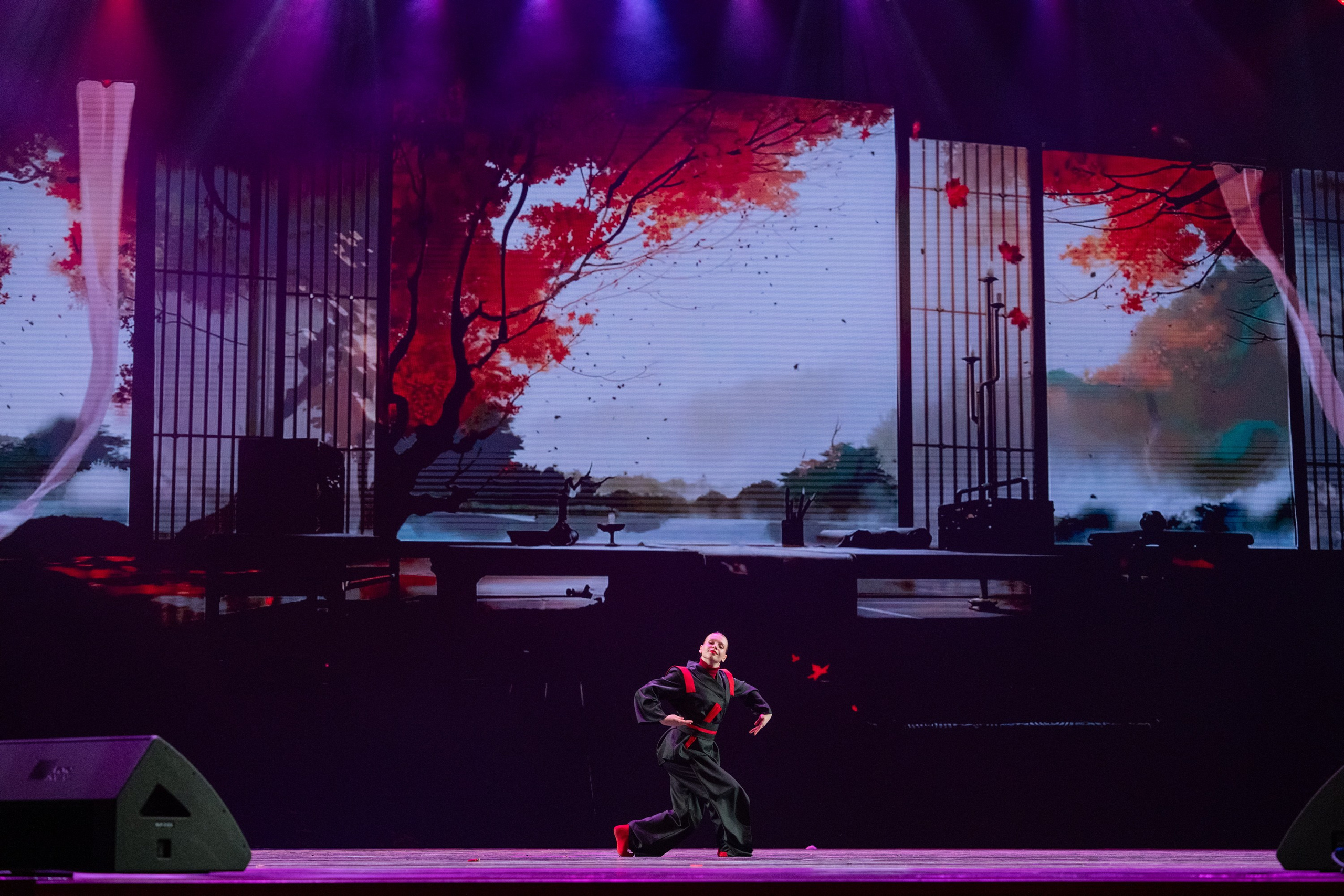 18 мая, г. Москва, Кремль, Концерт. Золотое яблочко