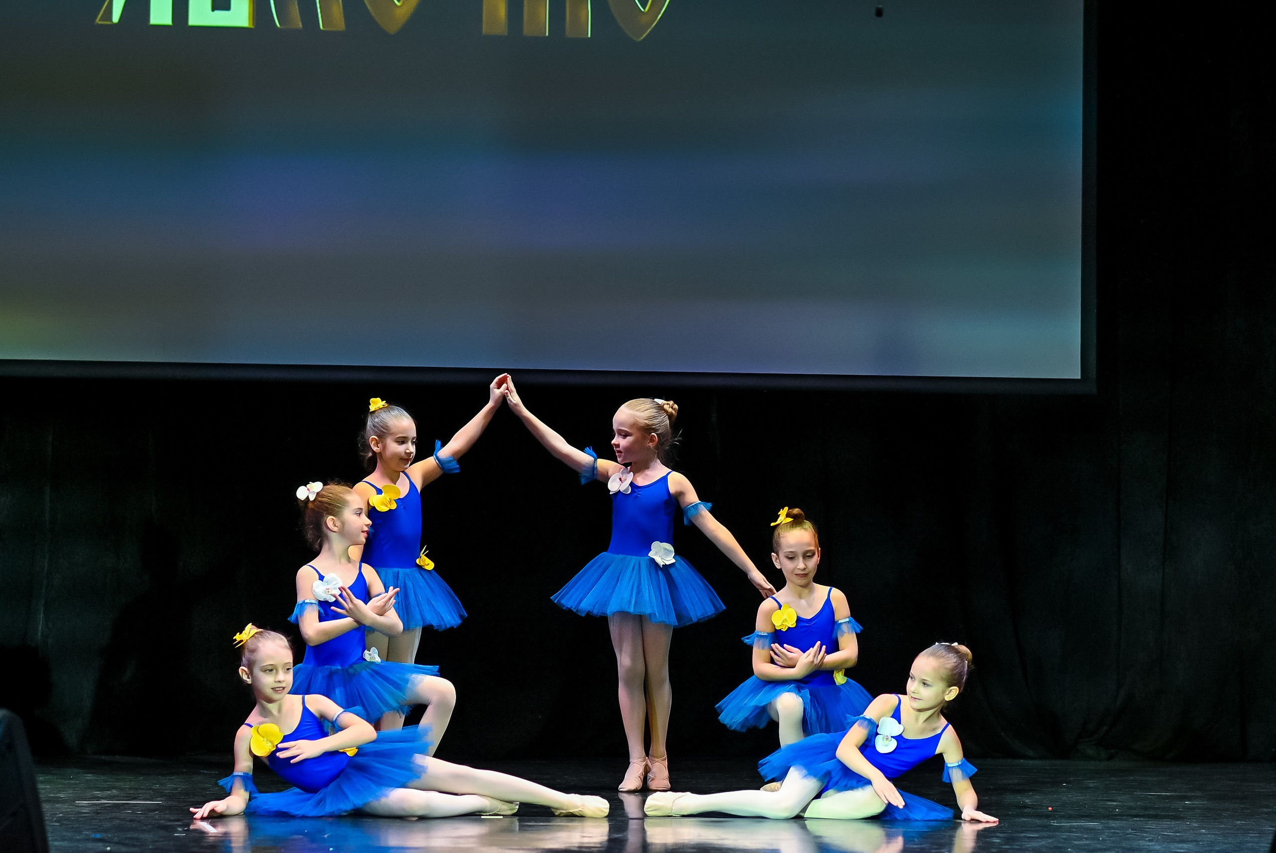 26 января, г. Санкт-Петербург. Золотое яблочко