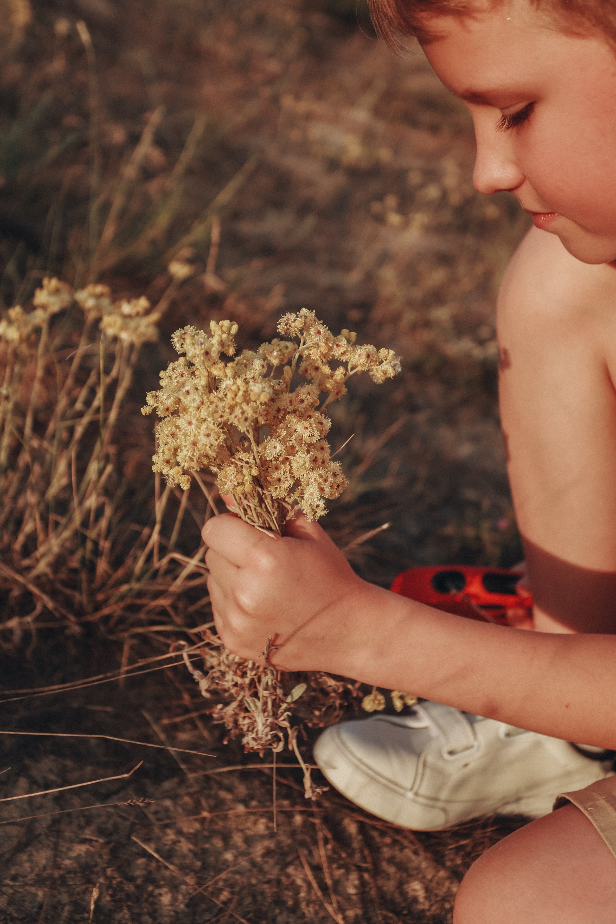 Пикник мамы Жени, Артема и Ксюши. Детский фотограф, Волгоград