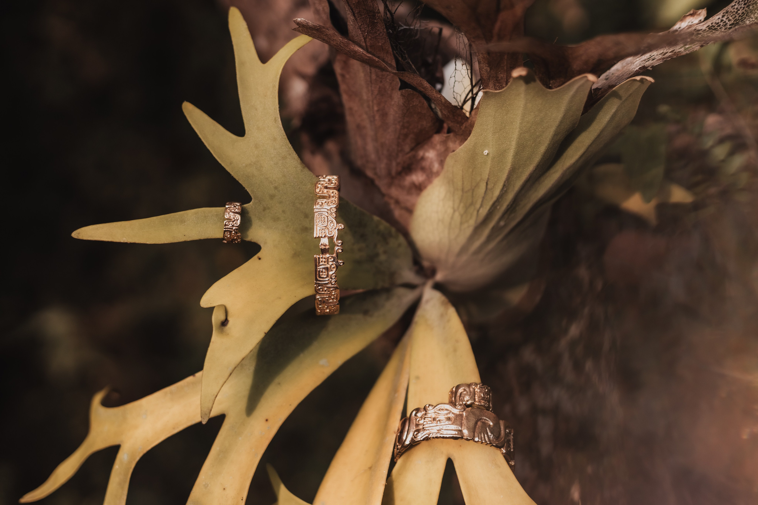 Pao and her collection. Mariam Bagdasaryan