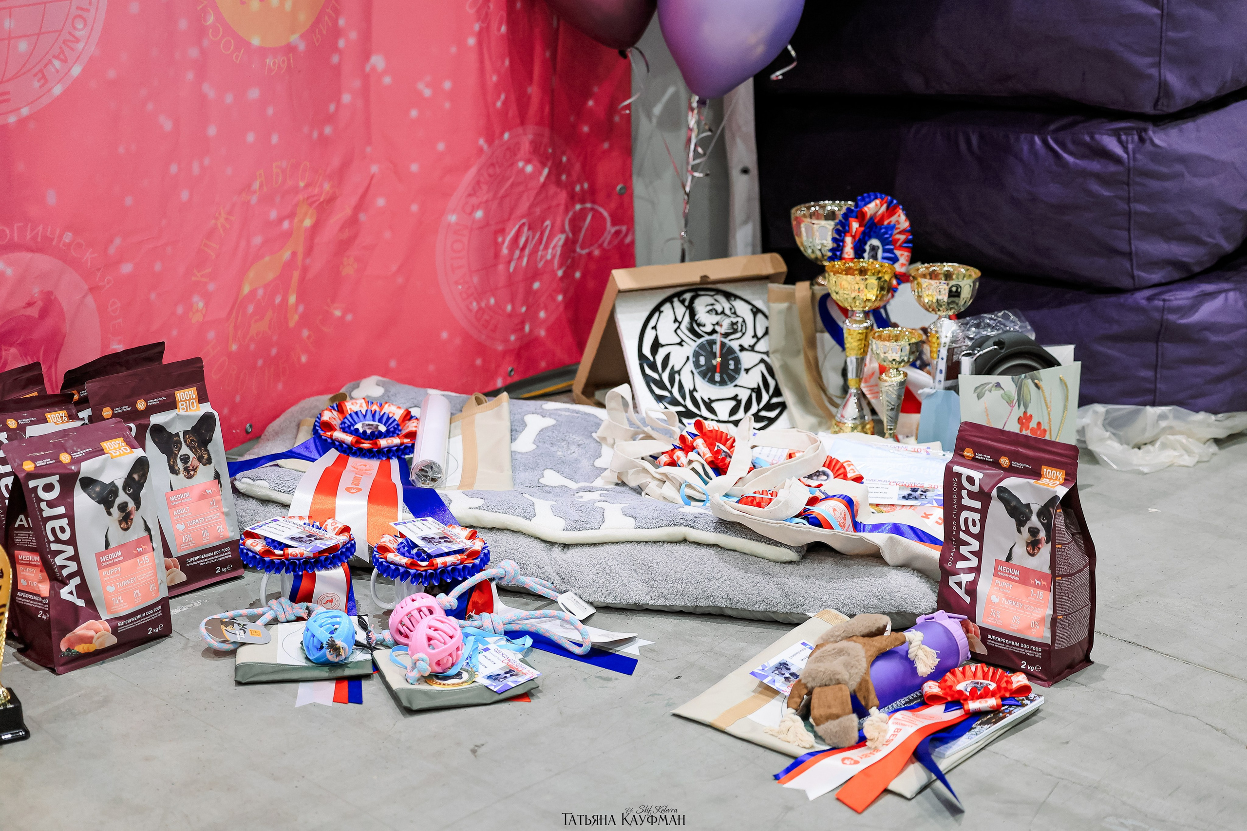 выставка собак в Новосибирске ABSOLUT WINNER-2026, Рейтинговая выставка собак