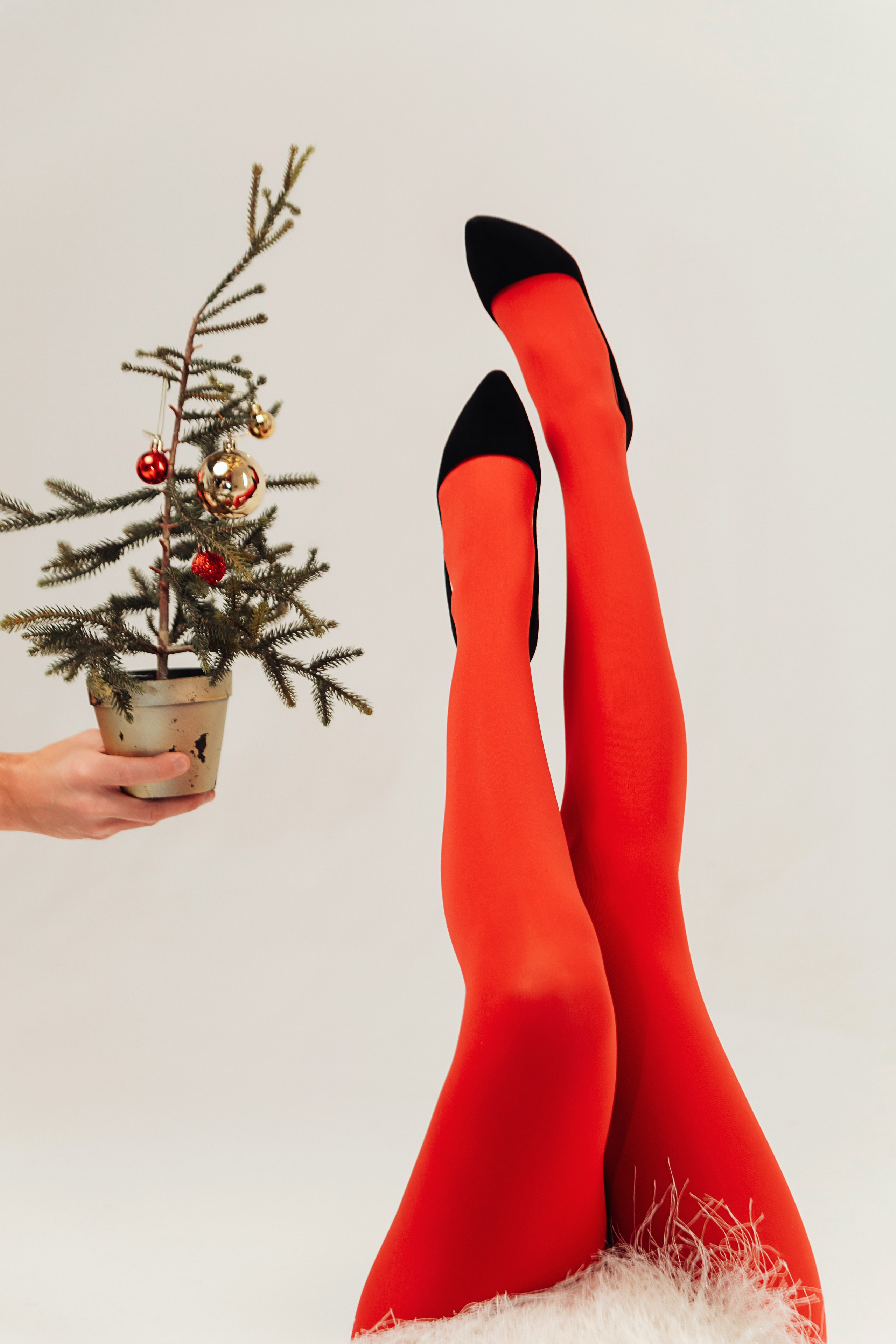 Фотосессия в студии СПБ, новогодняя фотосессия СПБ, рождественская съемка, фотосессия с бантом, большой бант, красный бант, фотосессия с большим бантом